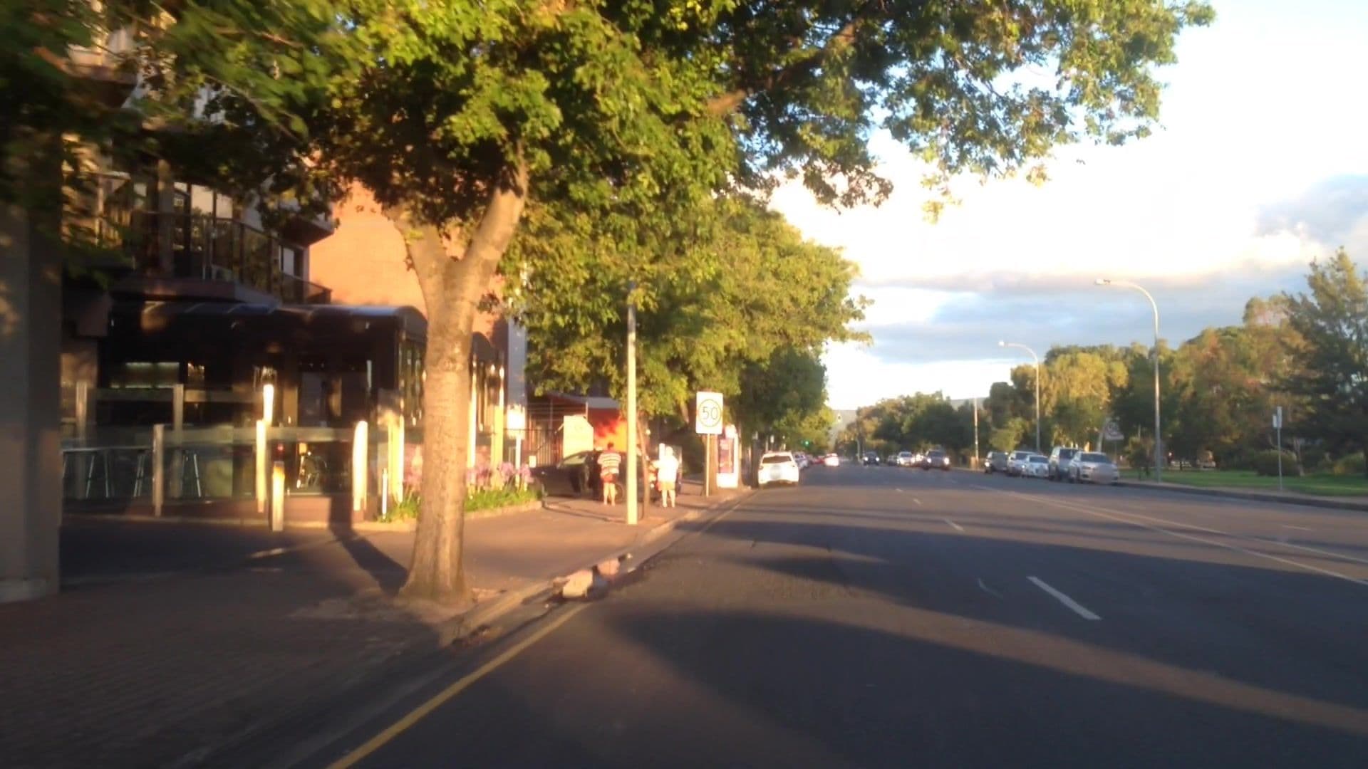 Street view near Rydges South Park Adelaide, Wayville — © lvl5 (CC BY-SA · Mapillary)