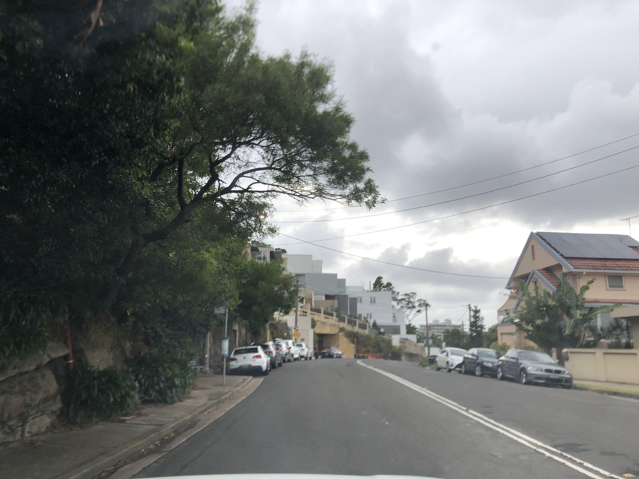 Street view near Fairlight Gardens, Fairlight — © jlstudio (CC BY-SA · Mapillary)