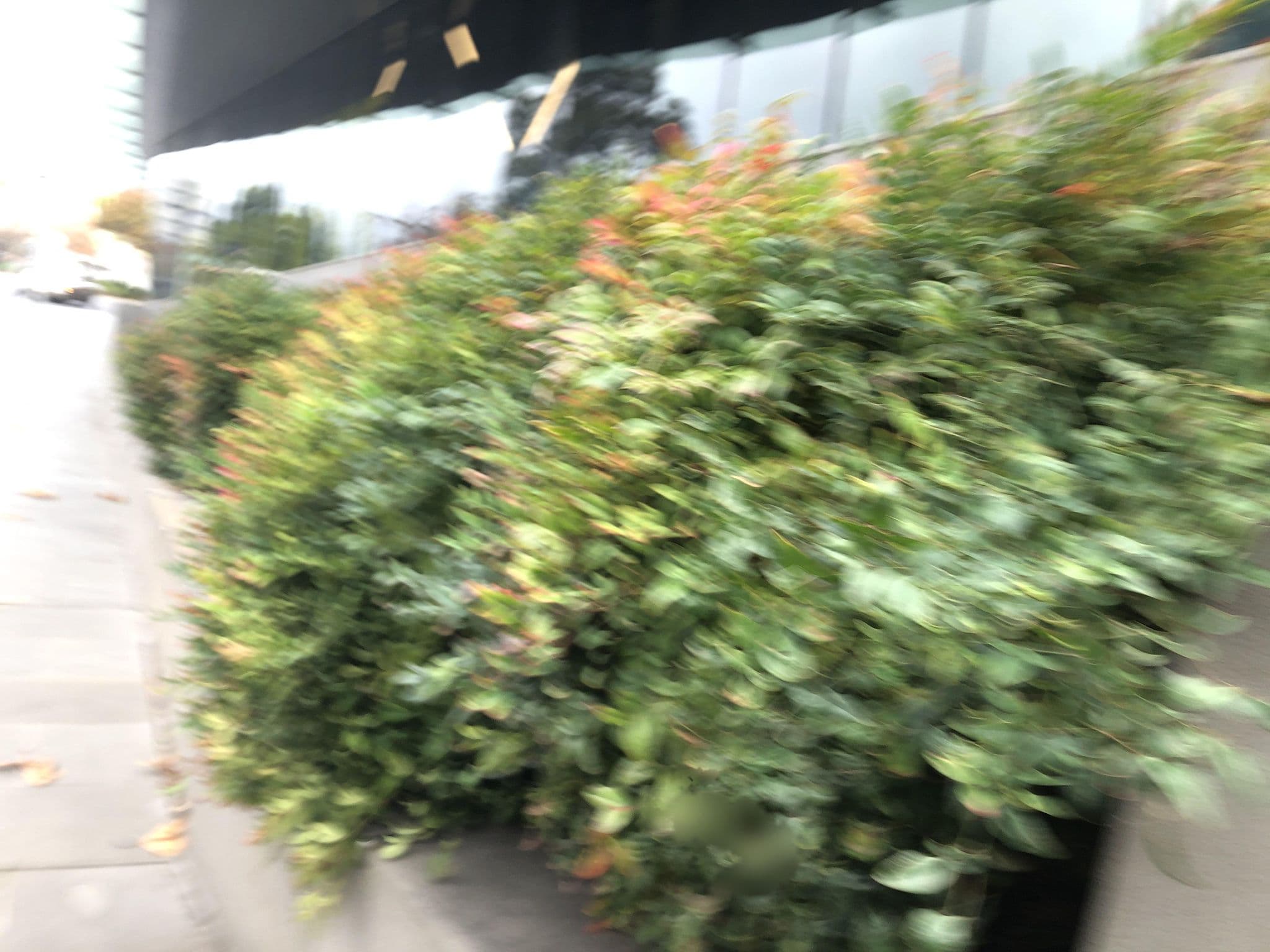 Street view near Sage Hotel Melbourne Ringwood, Ringwood — © warrandyte (CC BY-SA · Mapillary)