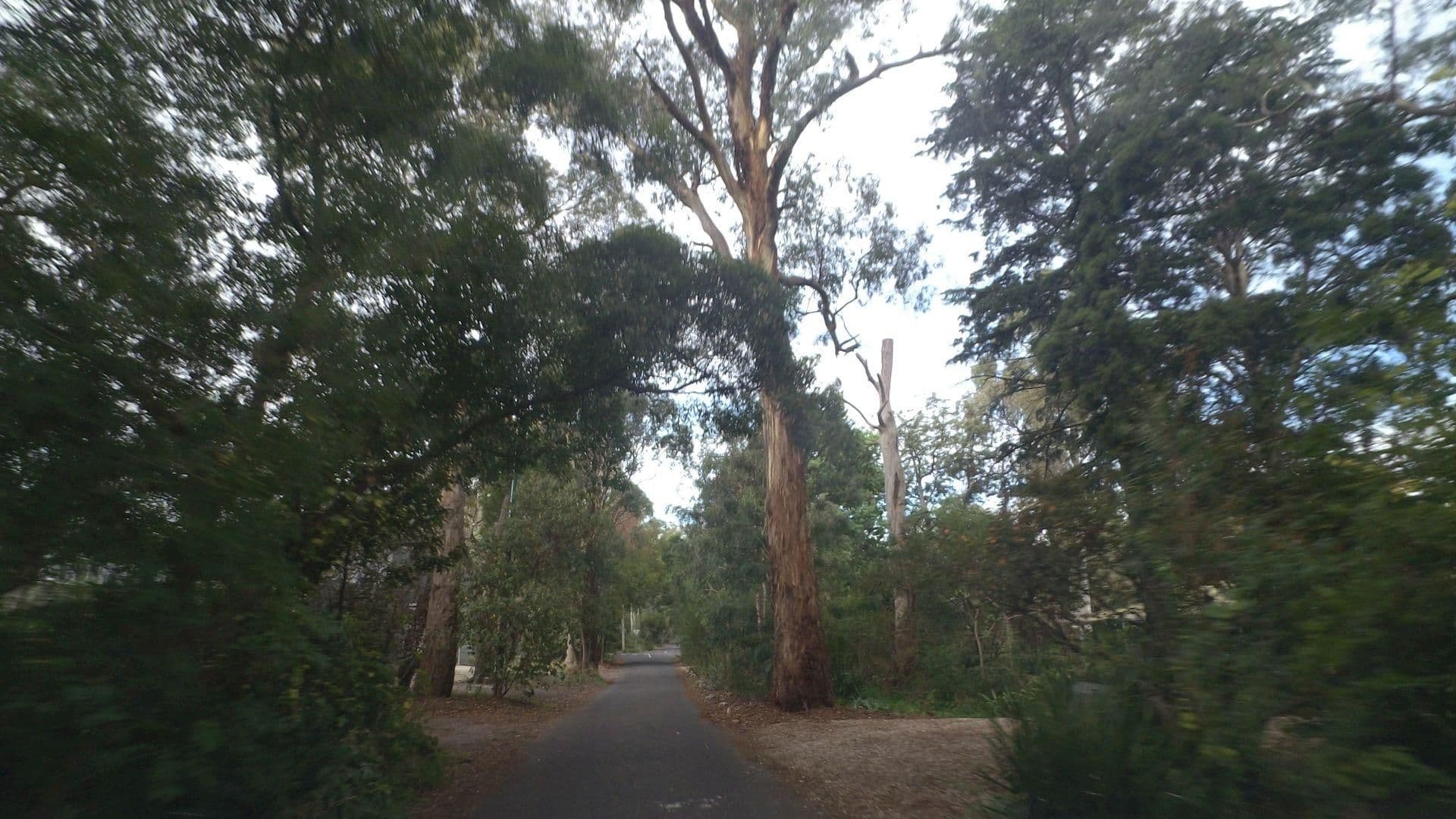 Street view near Treetops Bed & Breakfast, Blackburn — © mander (CC BY-SA · Mapillary)