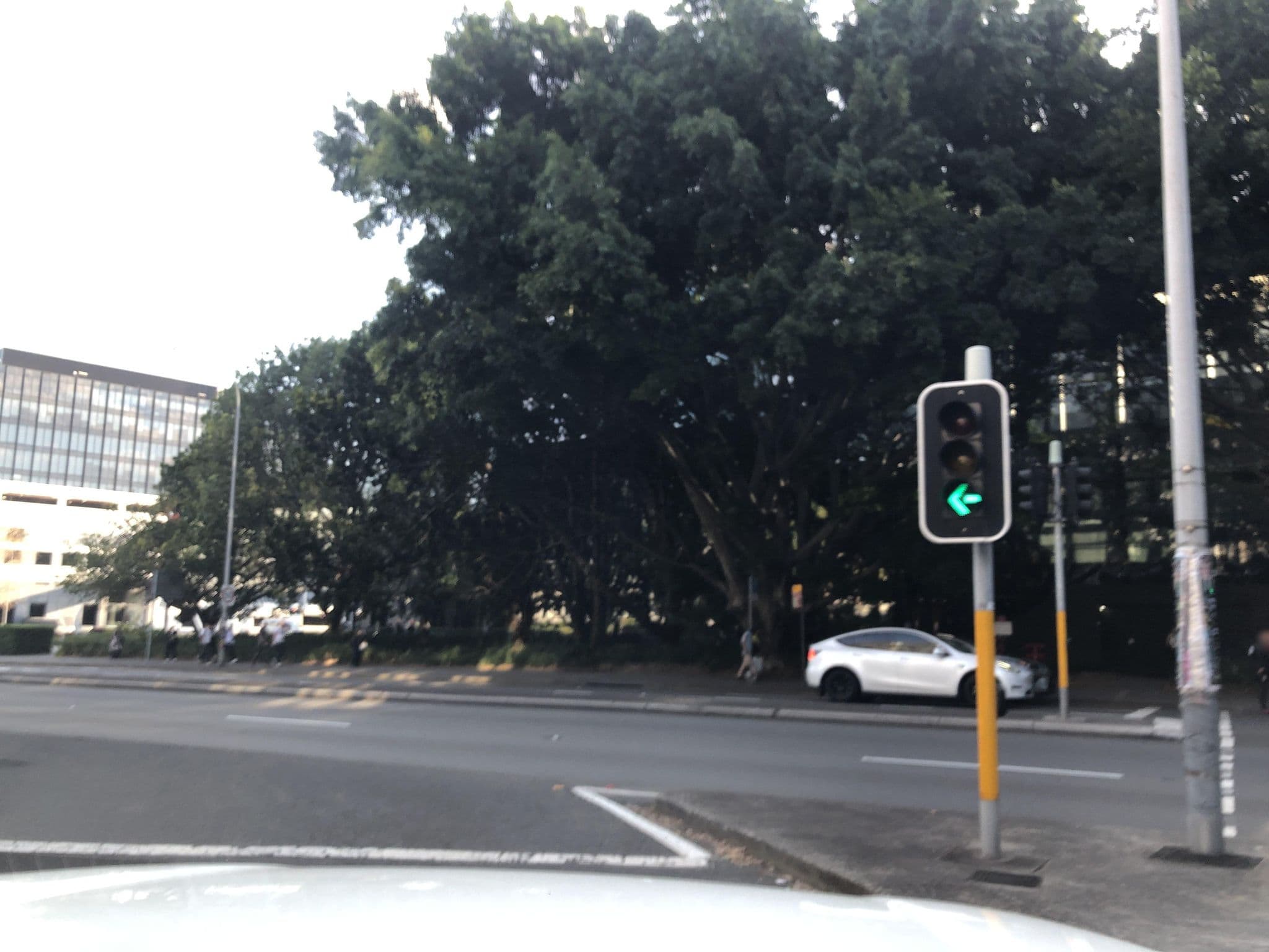 Street view near Adina Sydney Airport, Mascot — © jlstudio (CC BY-SA · Mapillary)