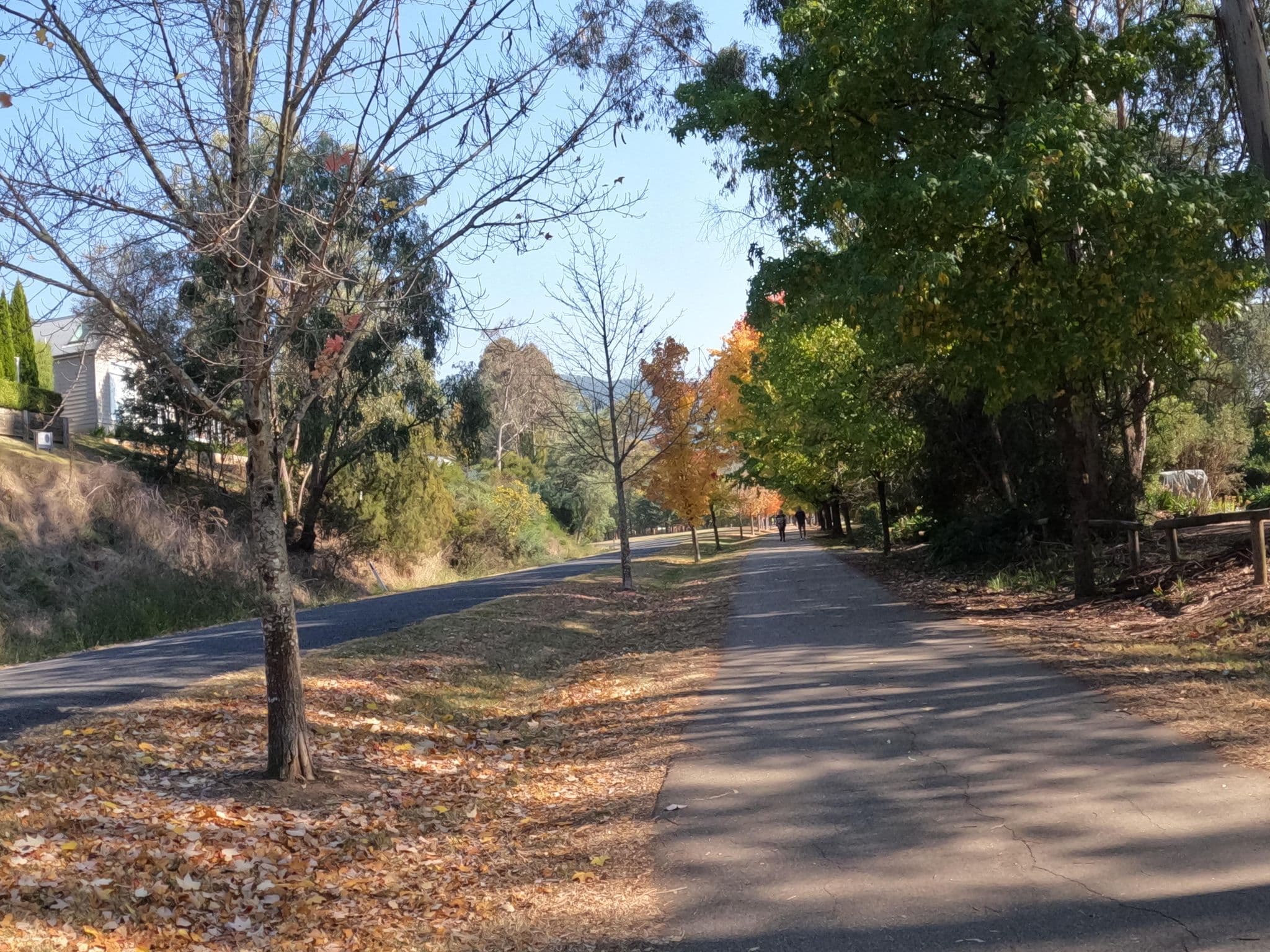 Street view near Bright Bliss, Bright — © skillsy (CC BY-SA · Mapillary)