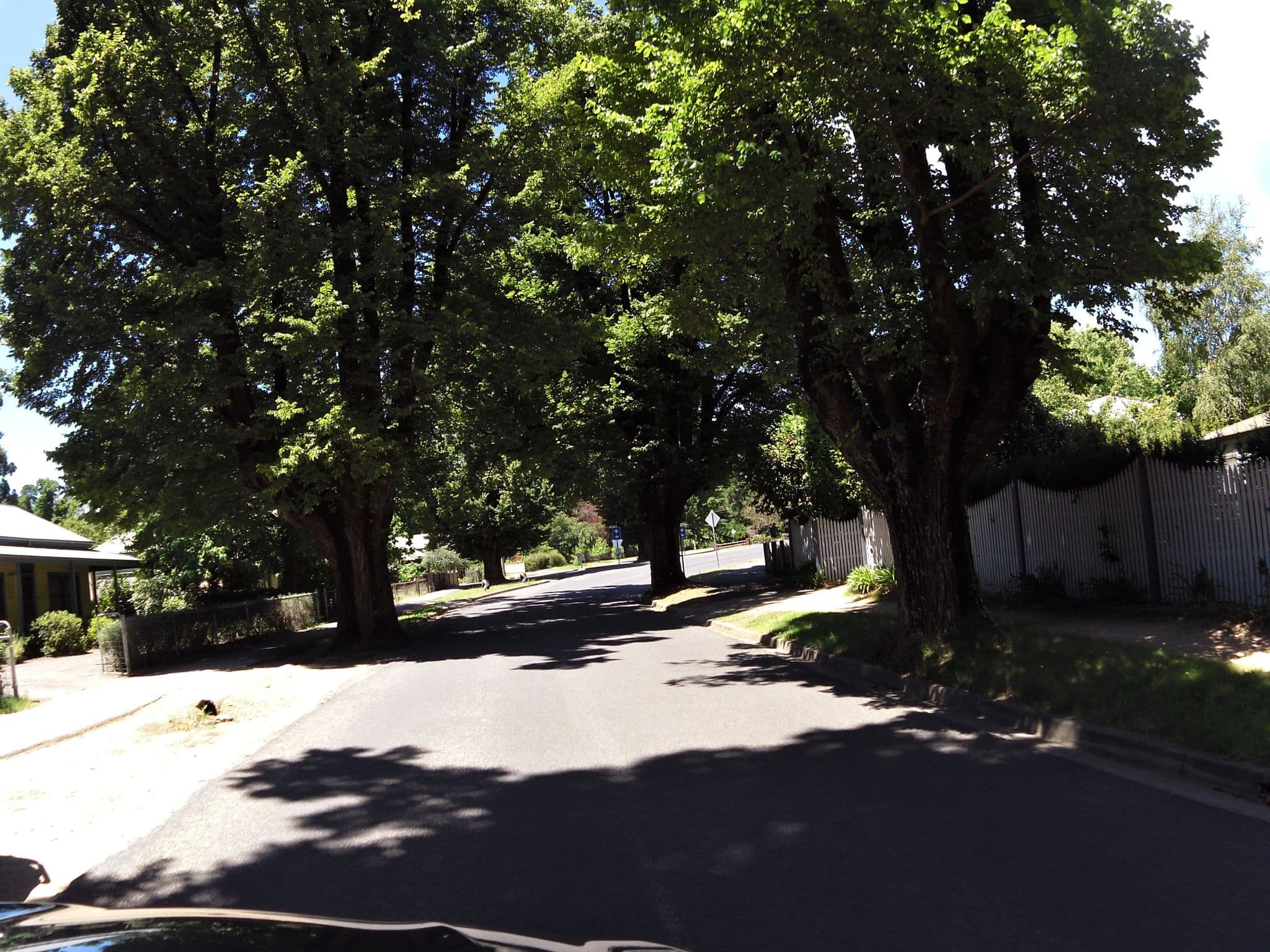 Street view near The Orchard House, Bright — © skillsy (CC BY-SA · Mapillary)