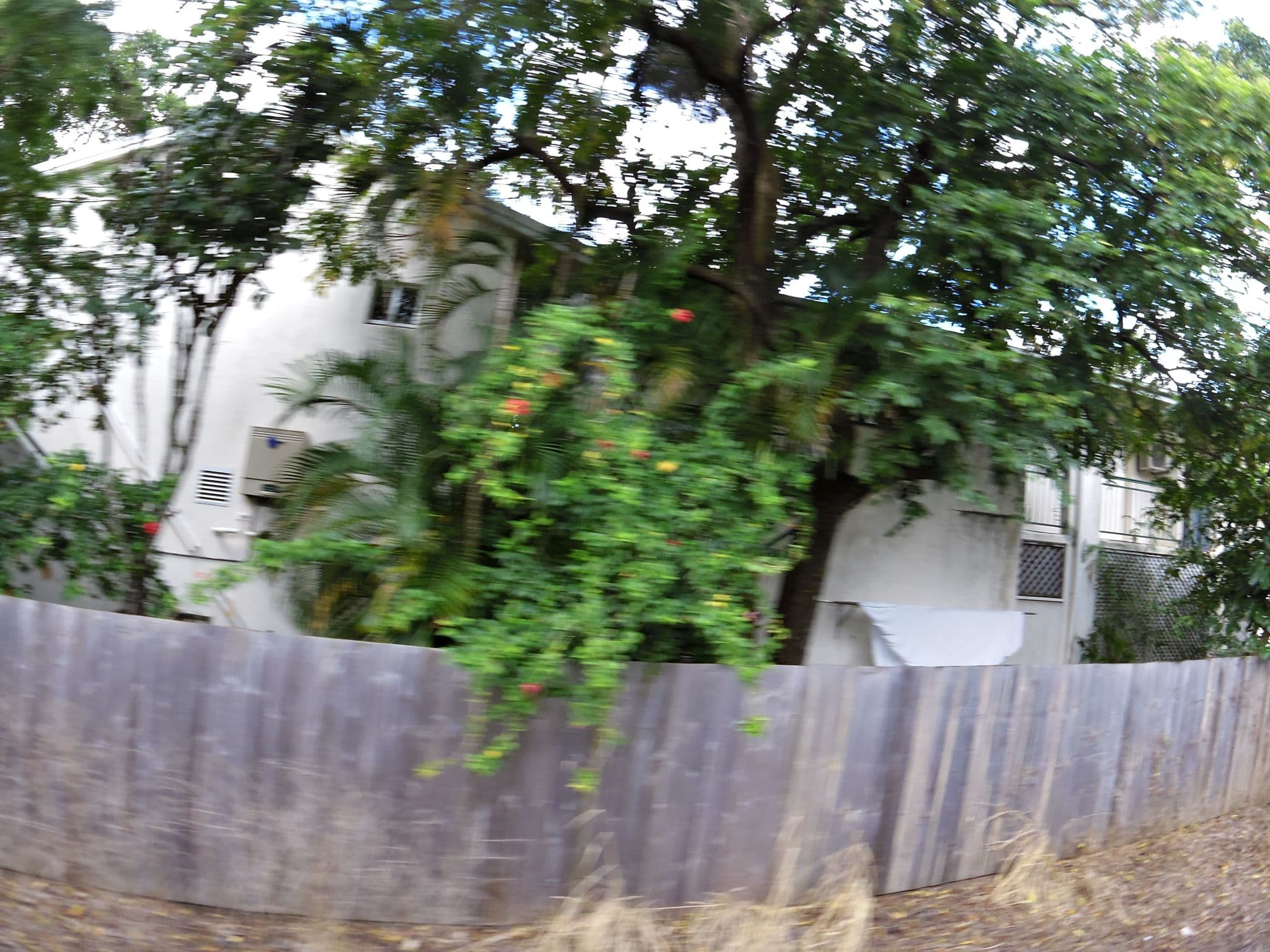 Street view near Crystal Garden Resort, Cairns North — © skillsy (CC BY-SA · Mapillary)