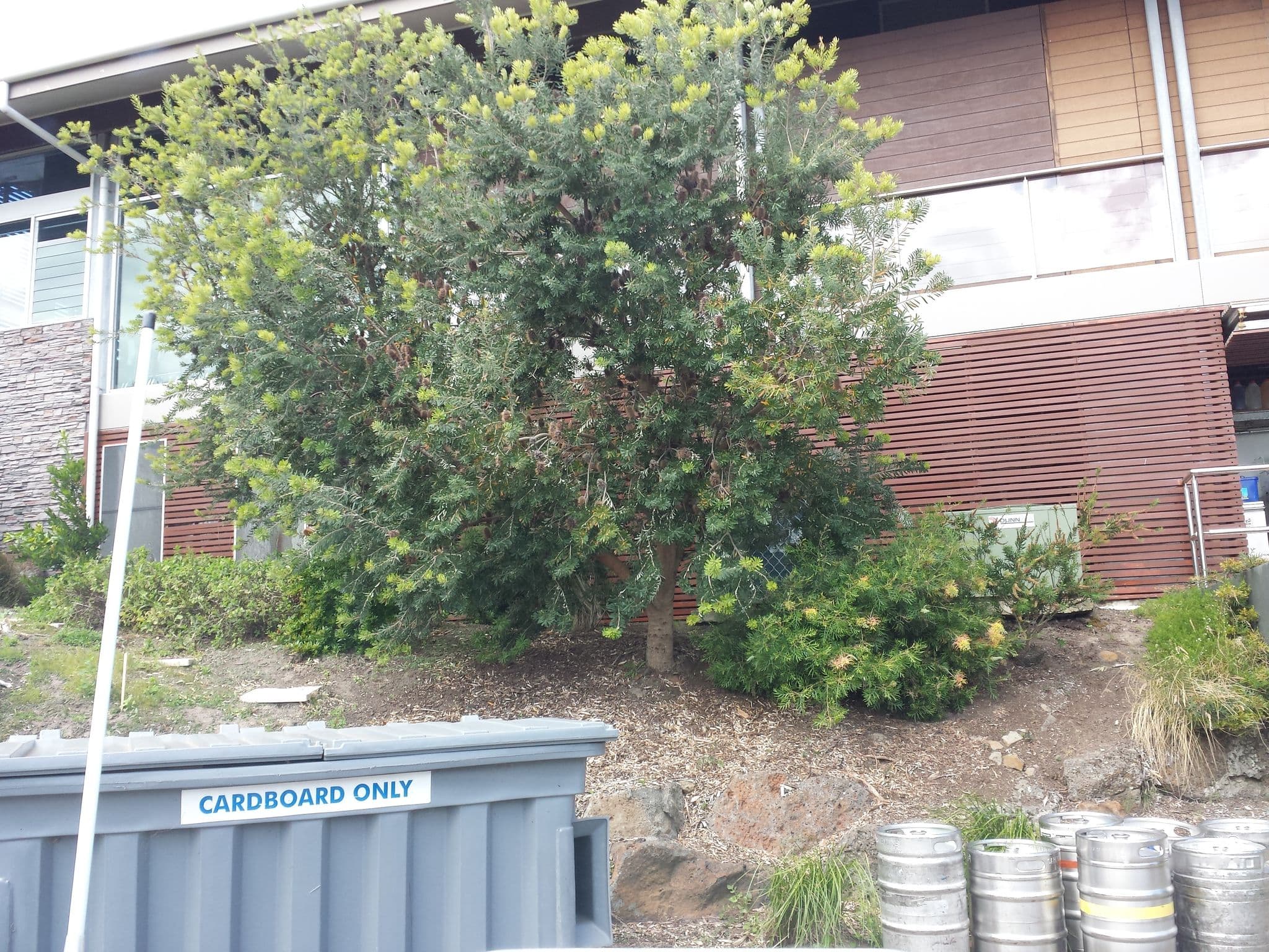Street view near Silverwater Resort, Cape Woolamai — © stev391 (CC BY-SA · Mapillary)