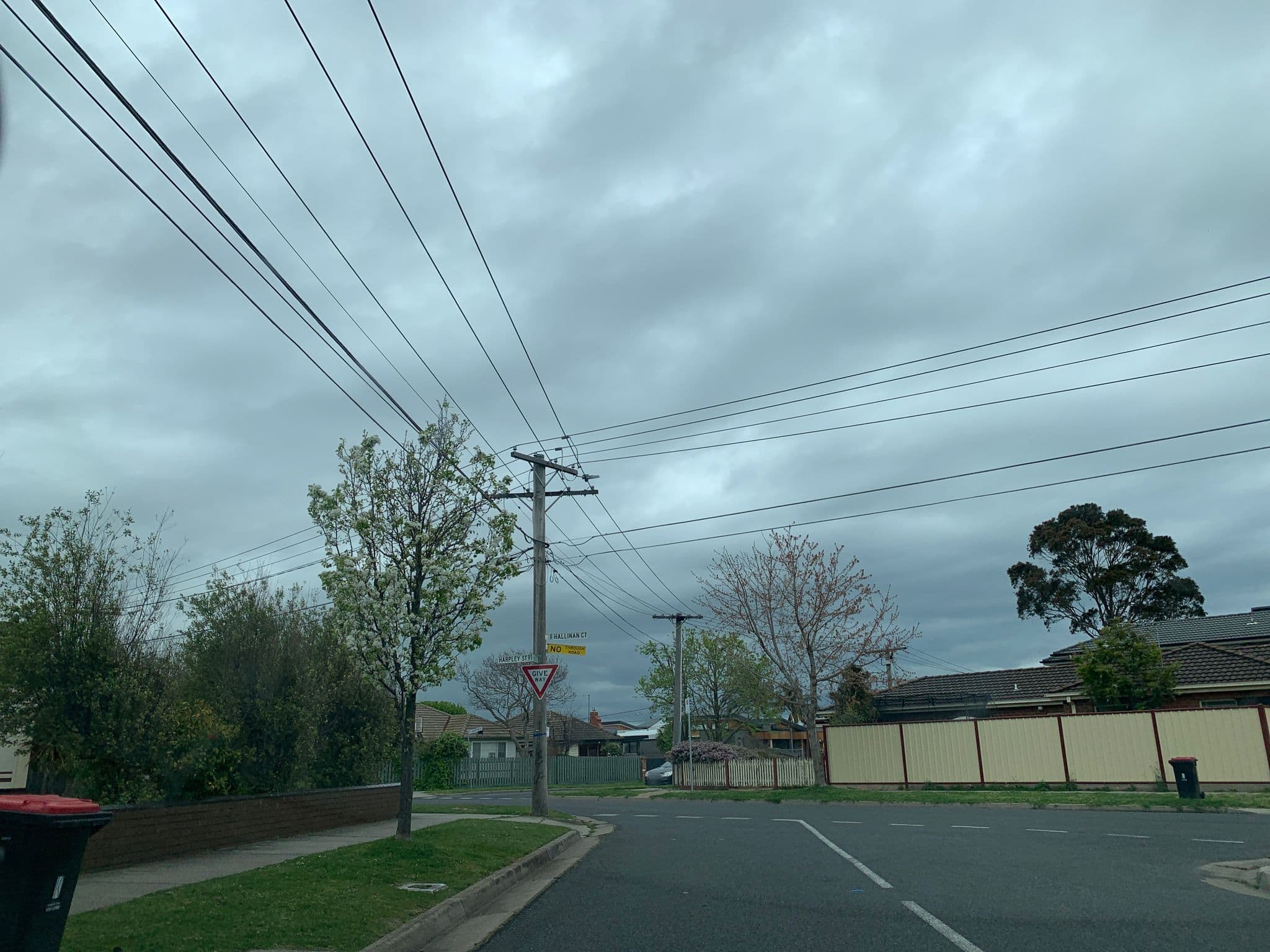 Street view near Nightcap at sandbelt bay, Mentone — © fadi1994 (CC BY-SA · Mapillary)