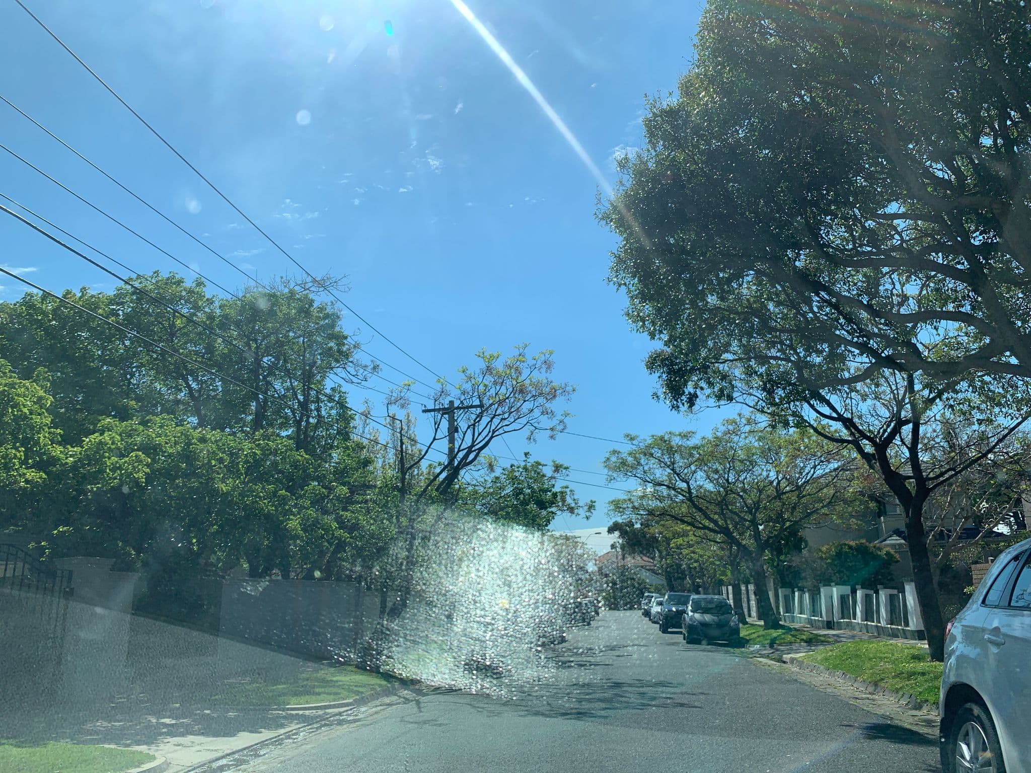 Street view near The Hotel Connection, Sandringham — © fadi1994 (CC BY-SA · Mapillary)