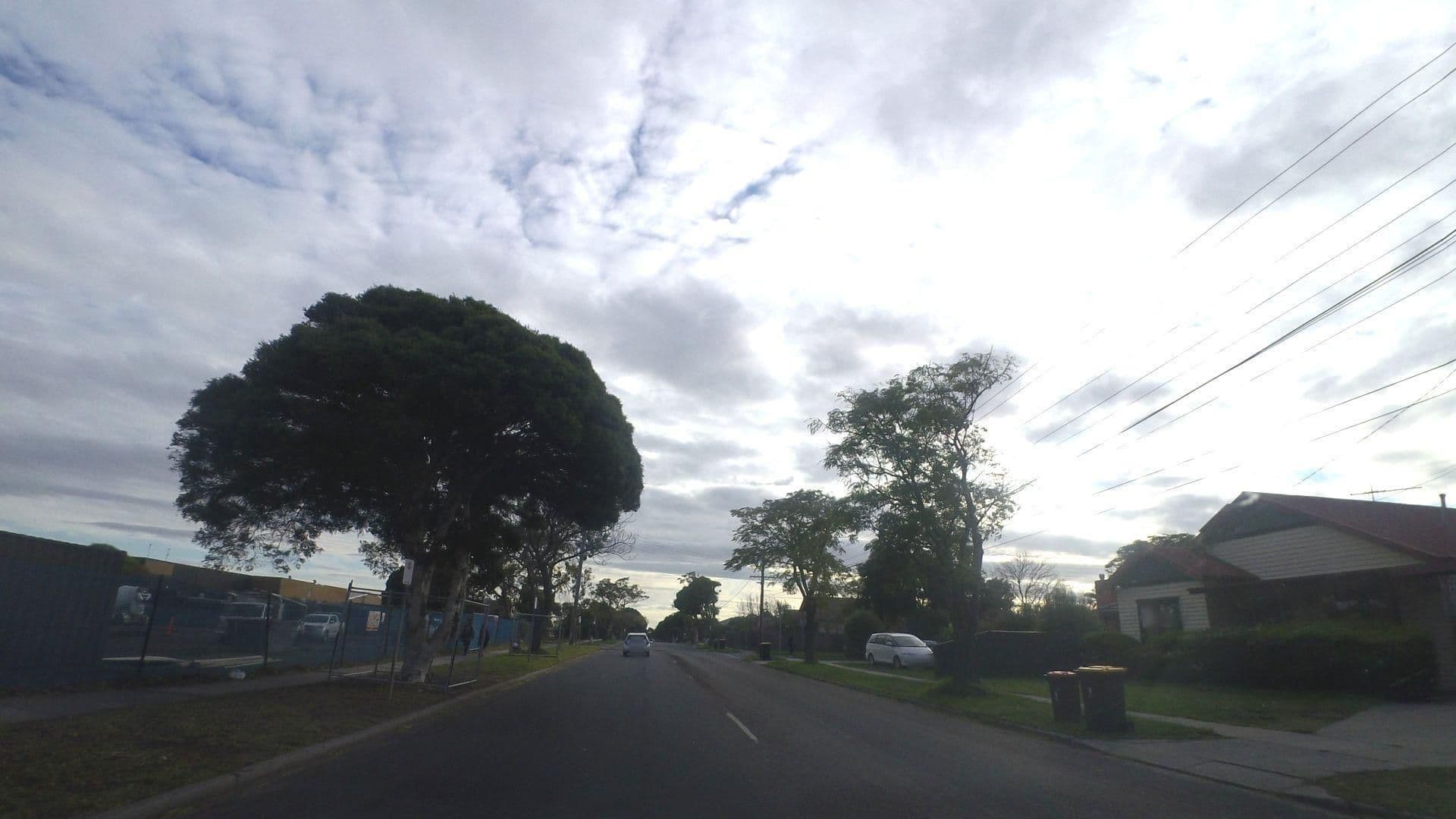 Street view near Wonderland Cat Hotel, Clayton South — © mander (CC BY-SA · Mapillary)