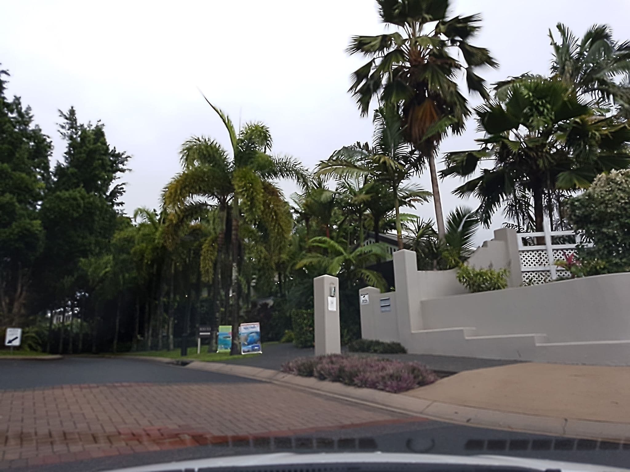 Street view near Elysium Apartments, Palm Cove — © stev391 (CC BY-SA · Mapillary)