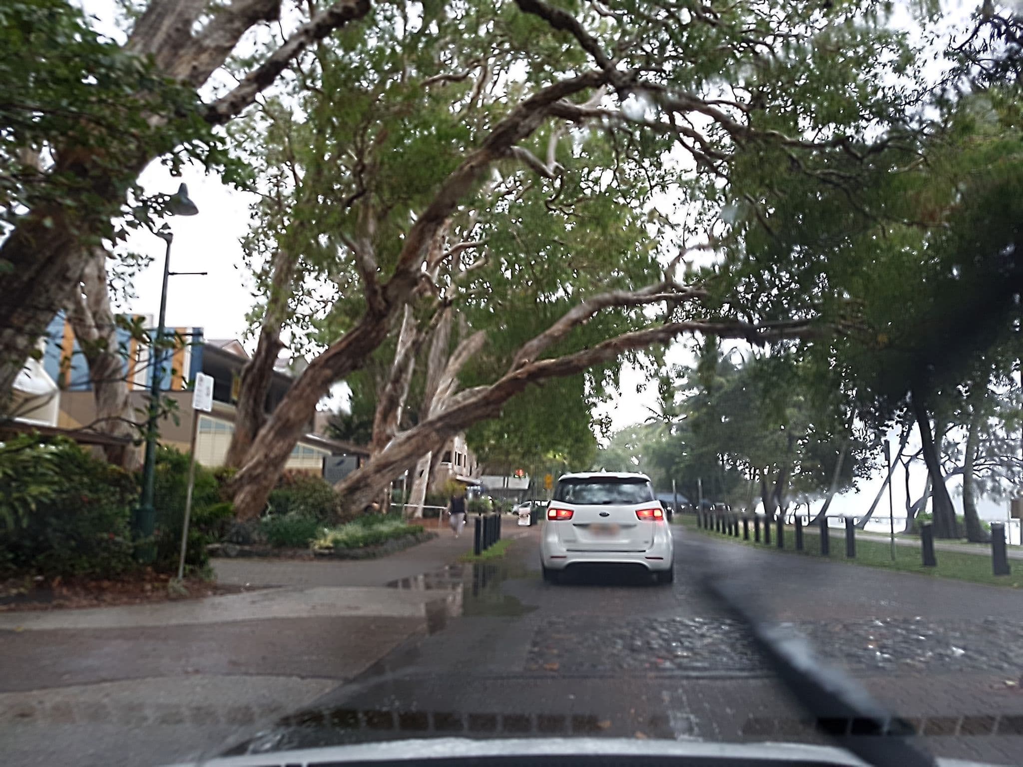Street view near On Palm Cove Beachfront Apartments, Palm Cove — © stev391 (CC BY-SA · Mapillary)