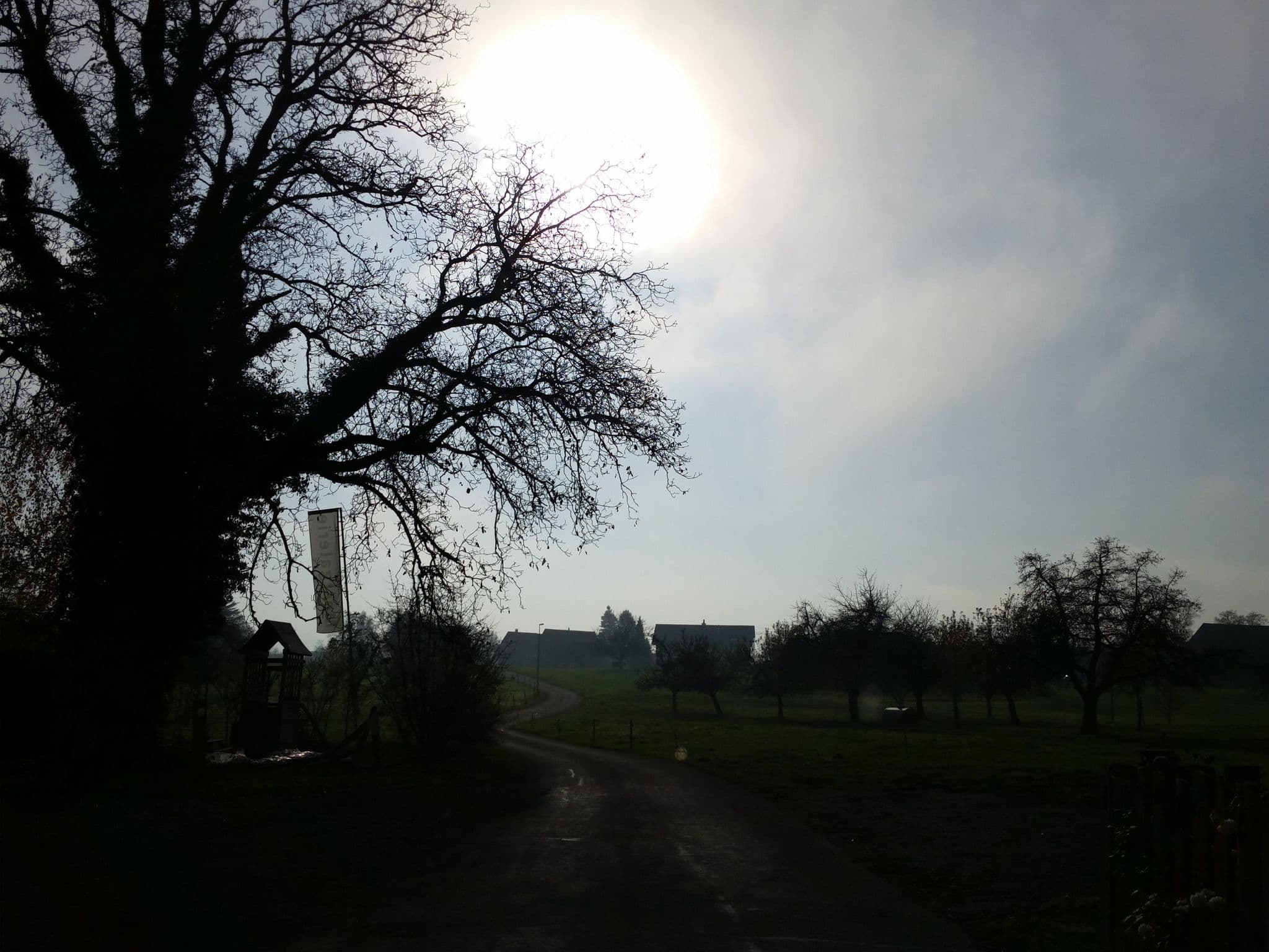Street view near Strohhotel, Arbon — © himmelbuerger (CC BY-SA · Mapillary)