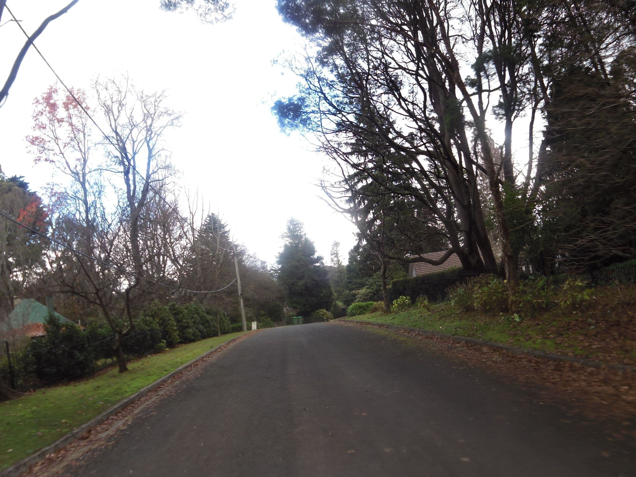 Street view near Moulton Park Estate, Sassafras — © skillsy (CC BY-SA · Mapillary)