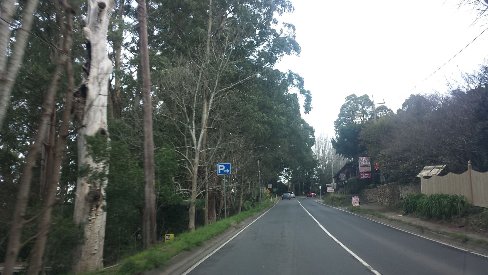 Street view near tree, Sassafras — © stev391 (CC BY-SA · Mapillary)