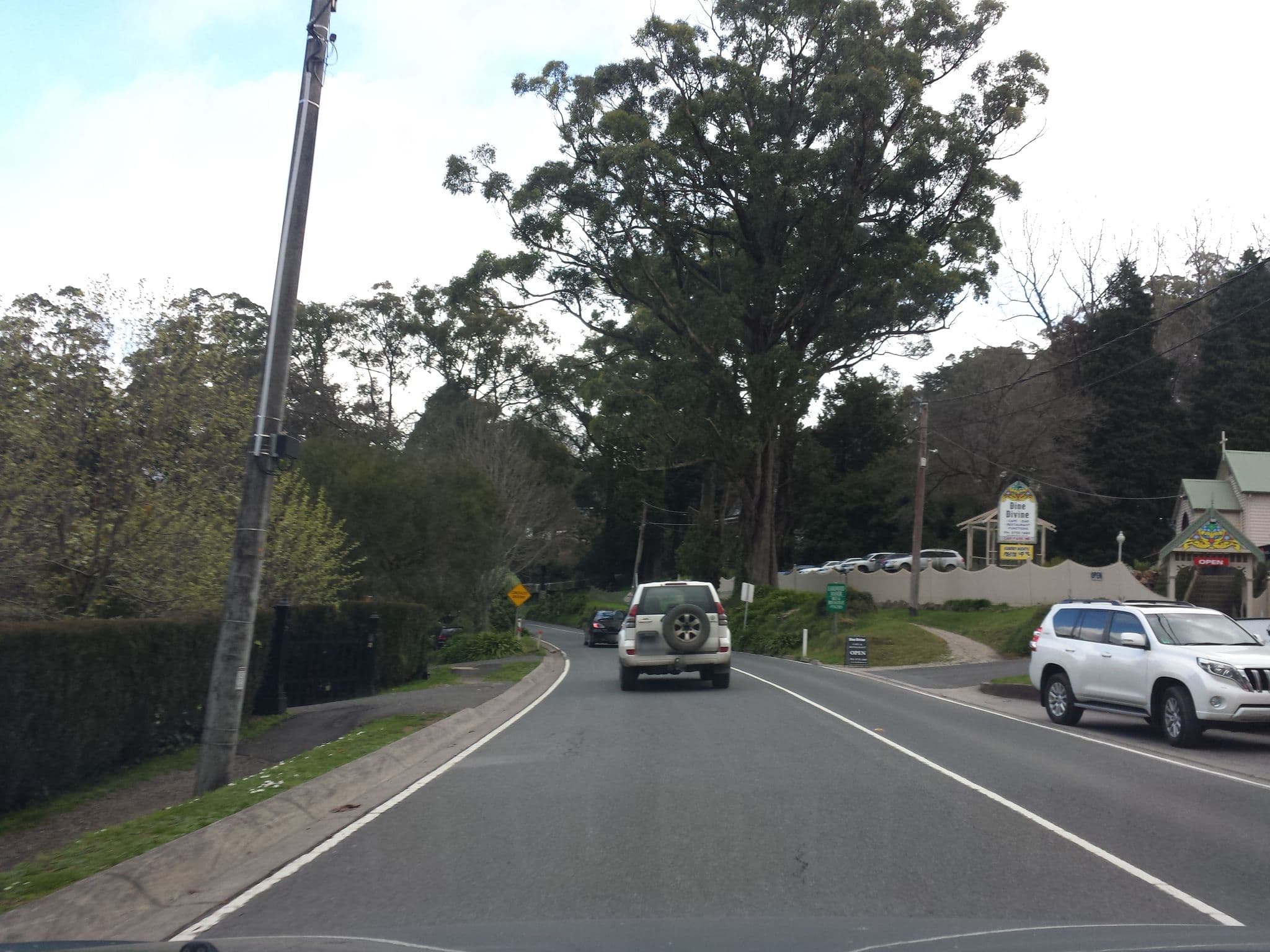 Street view near Earlwood Manor of Sassafras, Sassafras — © stev391 (CC BY-SA · Mapillary)