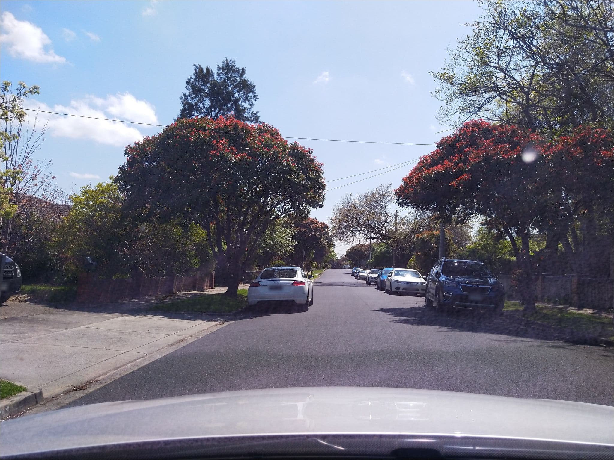 Street view near Magnolia Road Apartments Ivanhoe, Ivanhoe — © tzu808 (CC BY-SA · Mapillary)