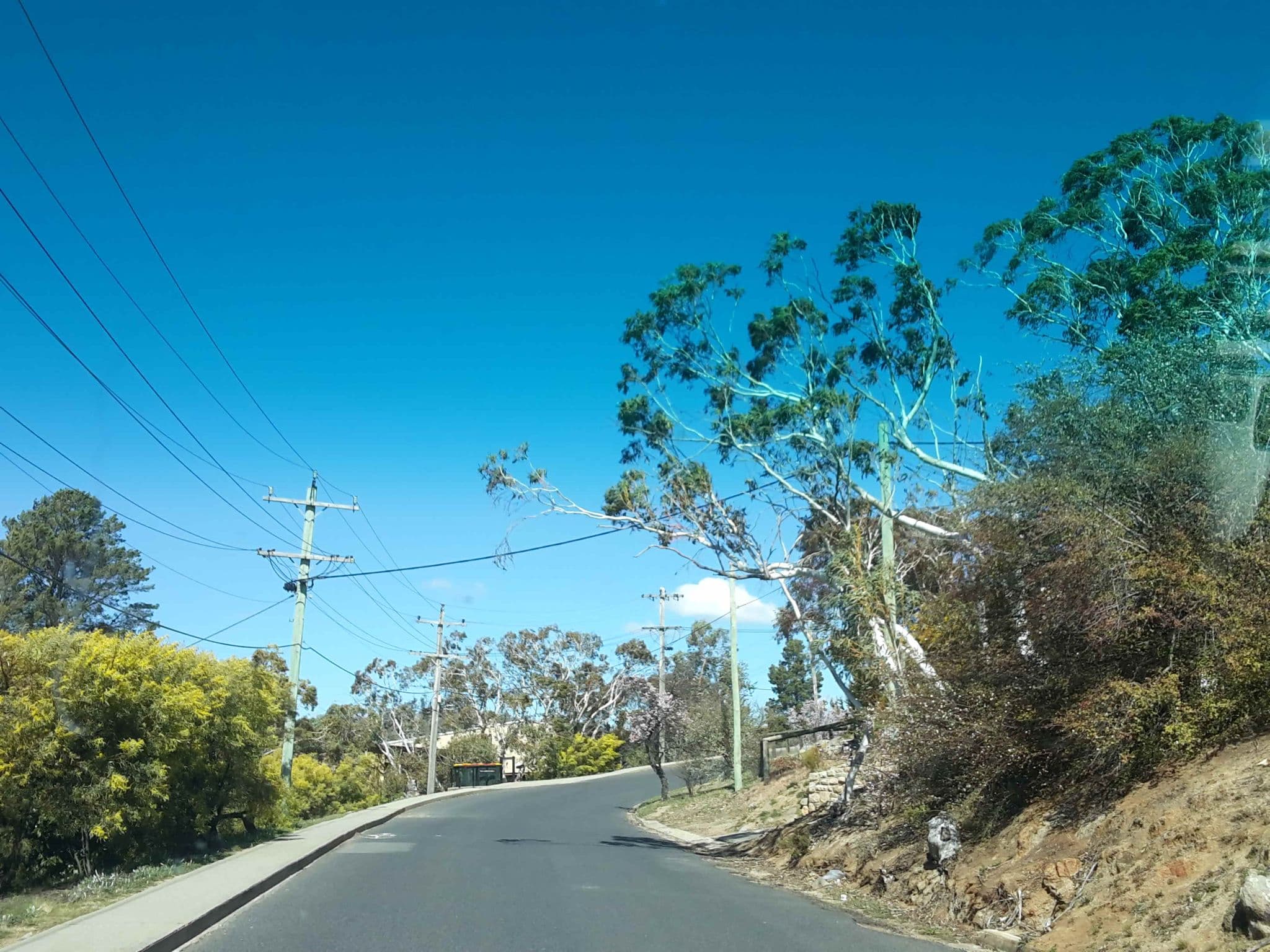 Street view near Rascal Lodge, Jindabyne — © gavinx (CC BY-SA · Mapillary)