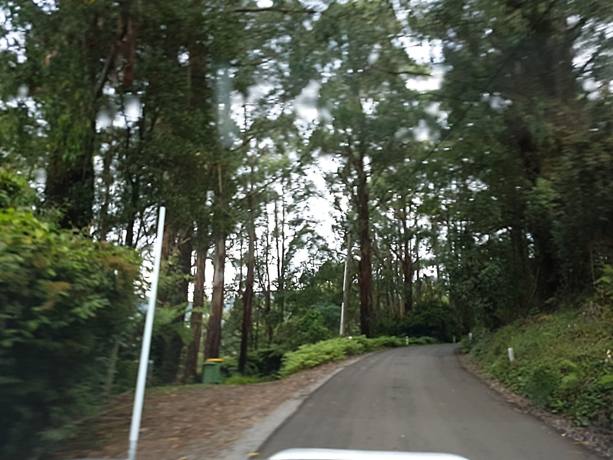 Street view near Billabong Falls, The Patch — © stev391 (CC BY-SA · Mapillary)
