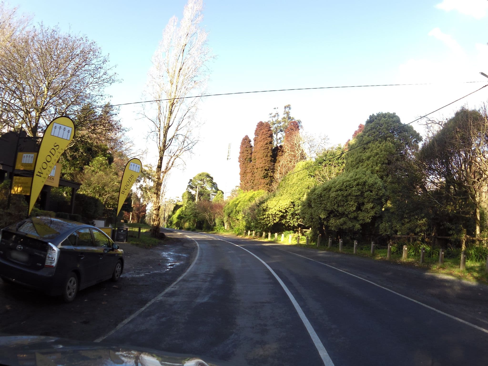 Street view near Forest Cottage, Sassafras — © skillsy (CC BY-SA · Mapillary)