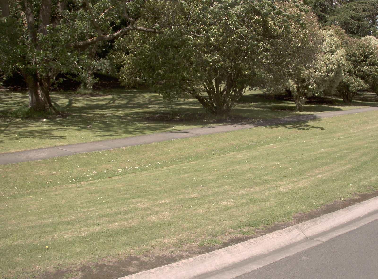 Street view near Comfort Inn, Moe — © vicroads (CC BY-SA · Mapillary)