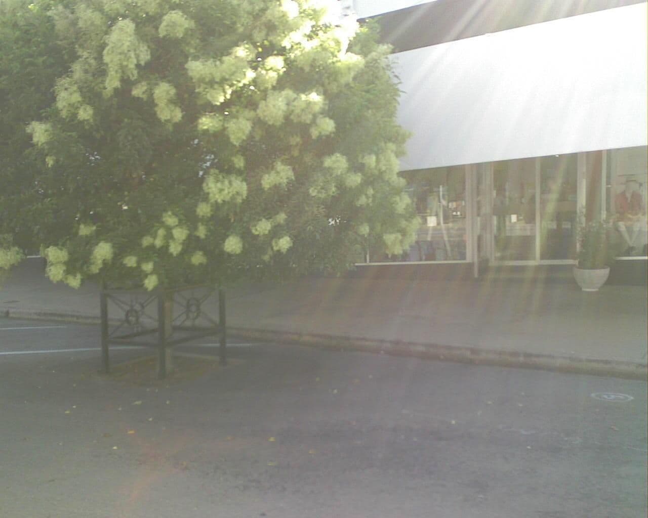 Street view near Charles Sturt Hotel, Narrandera — © bob3bob3 (CC BY-SA · Mapillary)