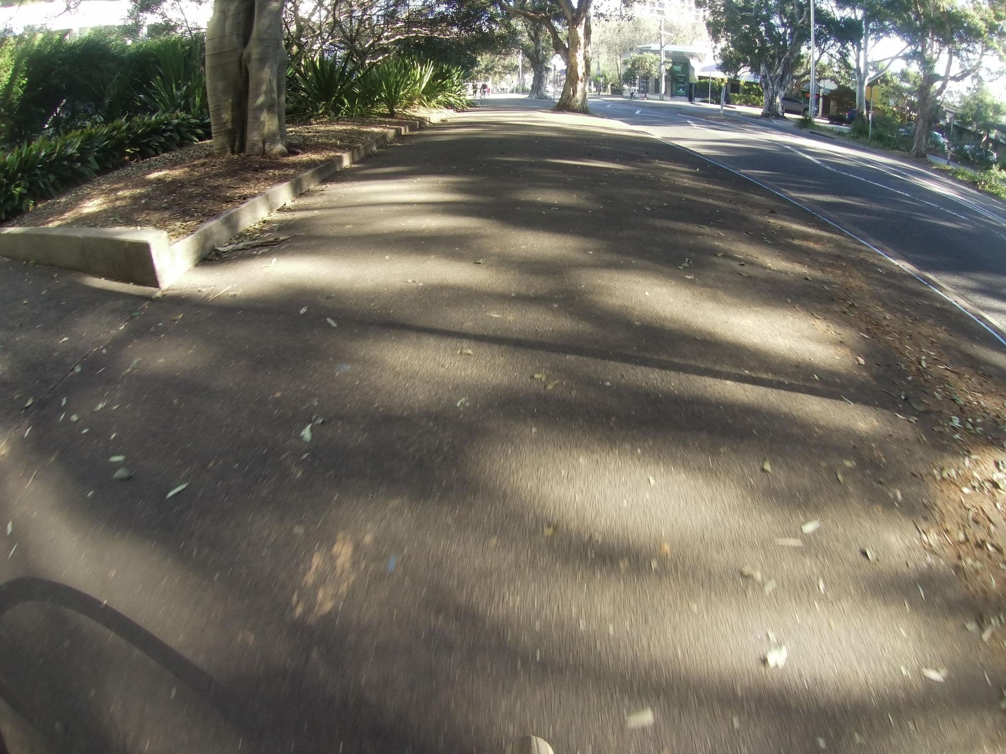 Street view near New fully furnished apartment- Pool and spa access, Zetland — © maxious (CC BY-SA · Mapillary)