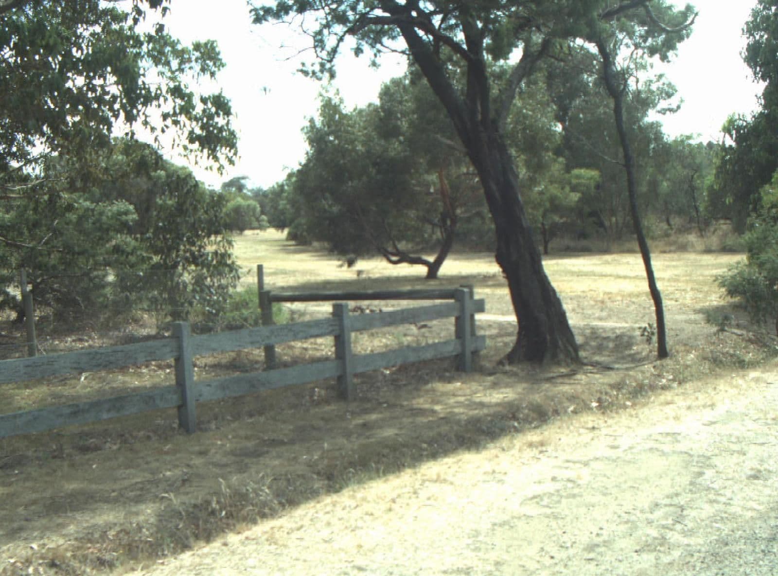 Street view near Woodlands Retreat - Entire Place, Ocean Grove — © cogg (CC BY-SA · Mapillary)