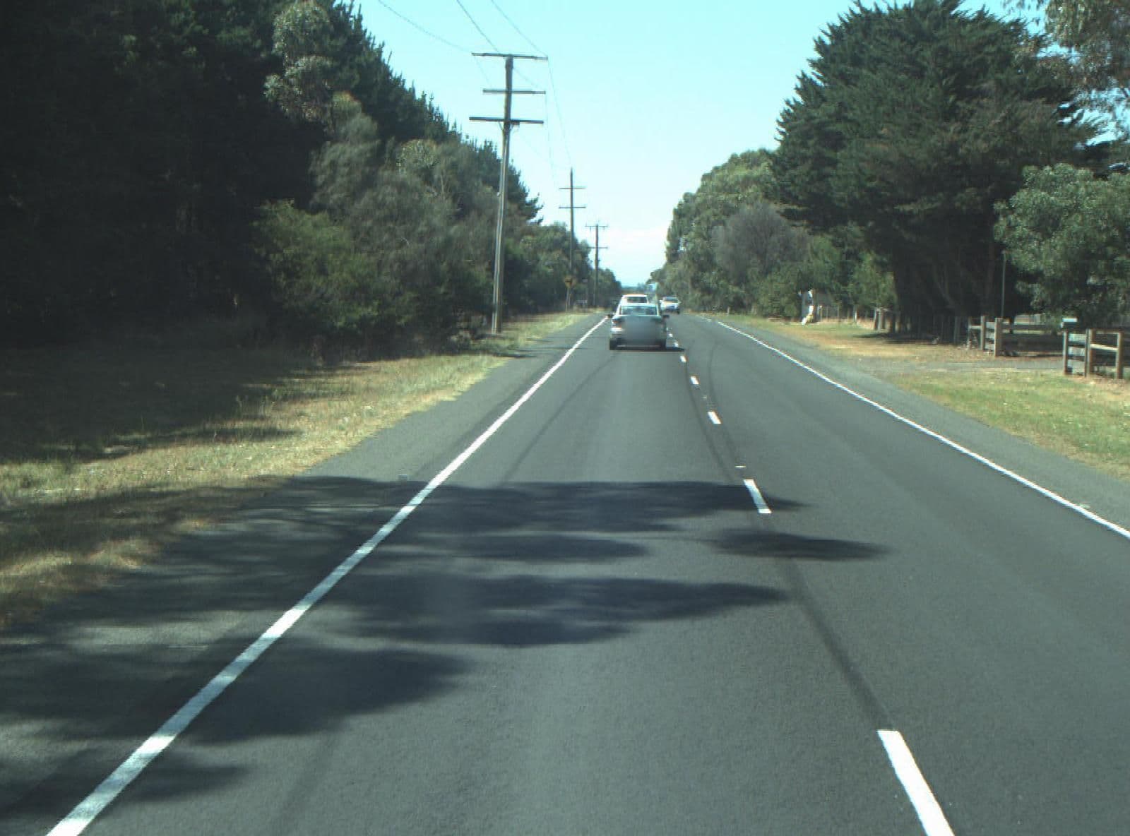 Street view near Top Dog Pet Resort, Wallington — © cogg (CC BY-SA · Mapillary)
