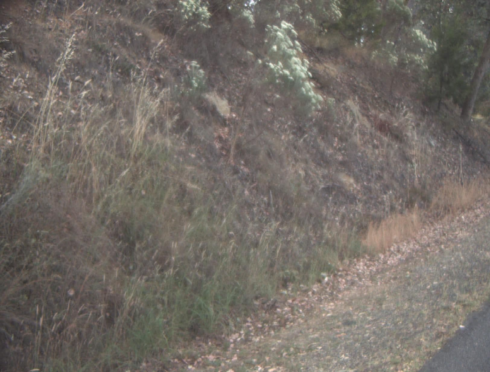 Street view near Motel Views Yackandandah, Yackandandah — © vicroads (CC BY-SA · Mapillary)