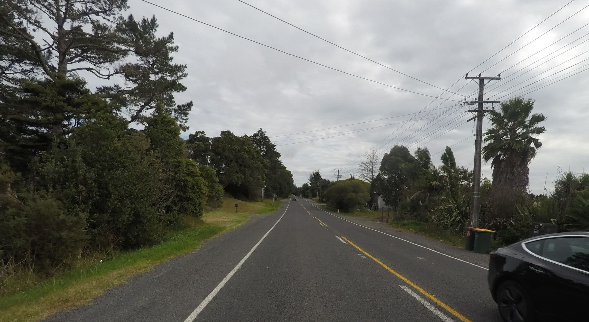 Street view near 1226 east coast rd, Albany — © ralley (CC BY-SA · Mapillary)
