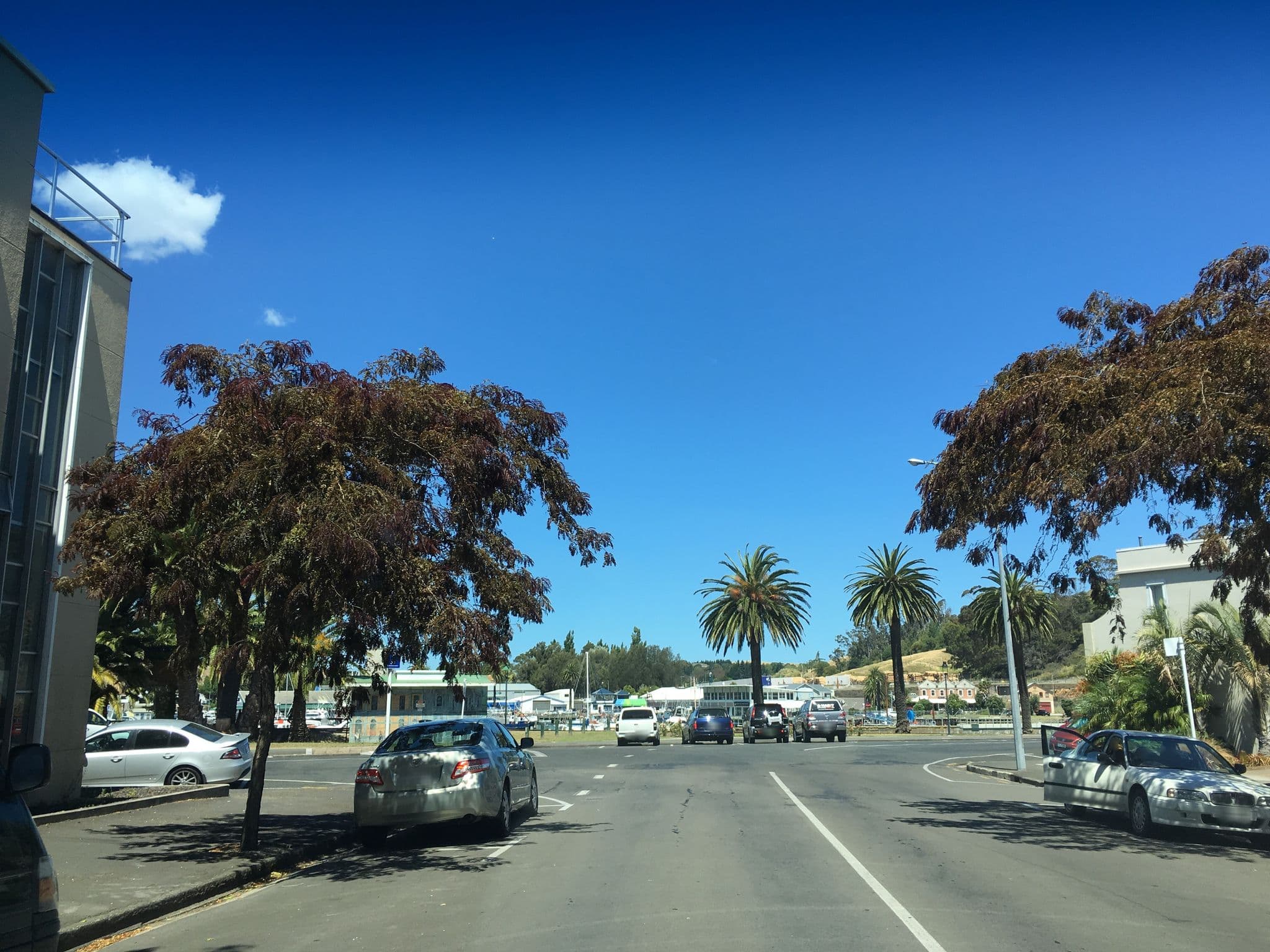 Street view near Senator Motor Inn, Kaiti — © nigelramsay (CC BY-SA · Mapillary)