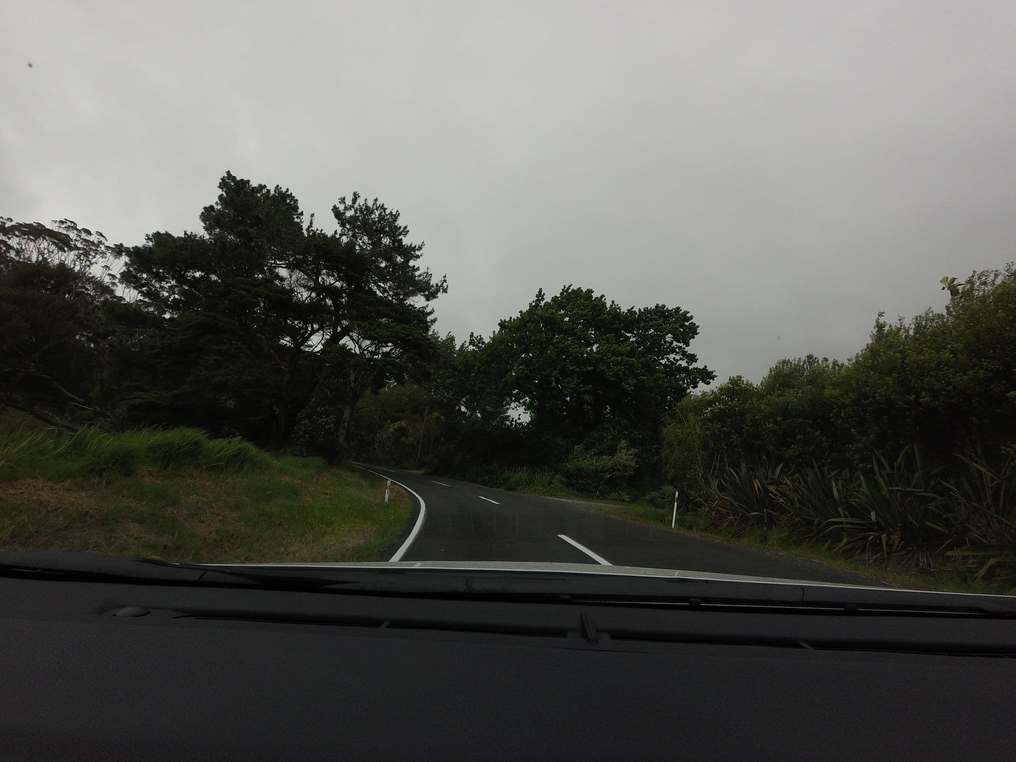Street view near Nikau Haven Bed & Breakfast, Leigh — © mishari (CC BY-SA · Mapillary)