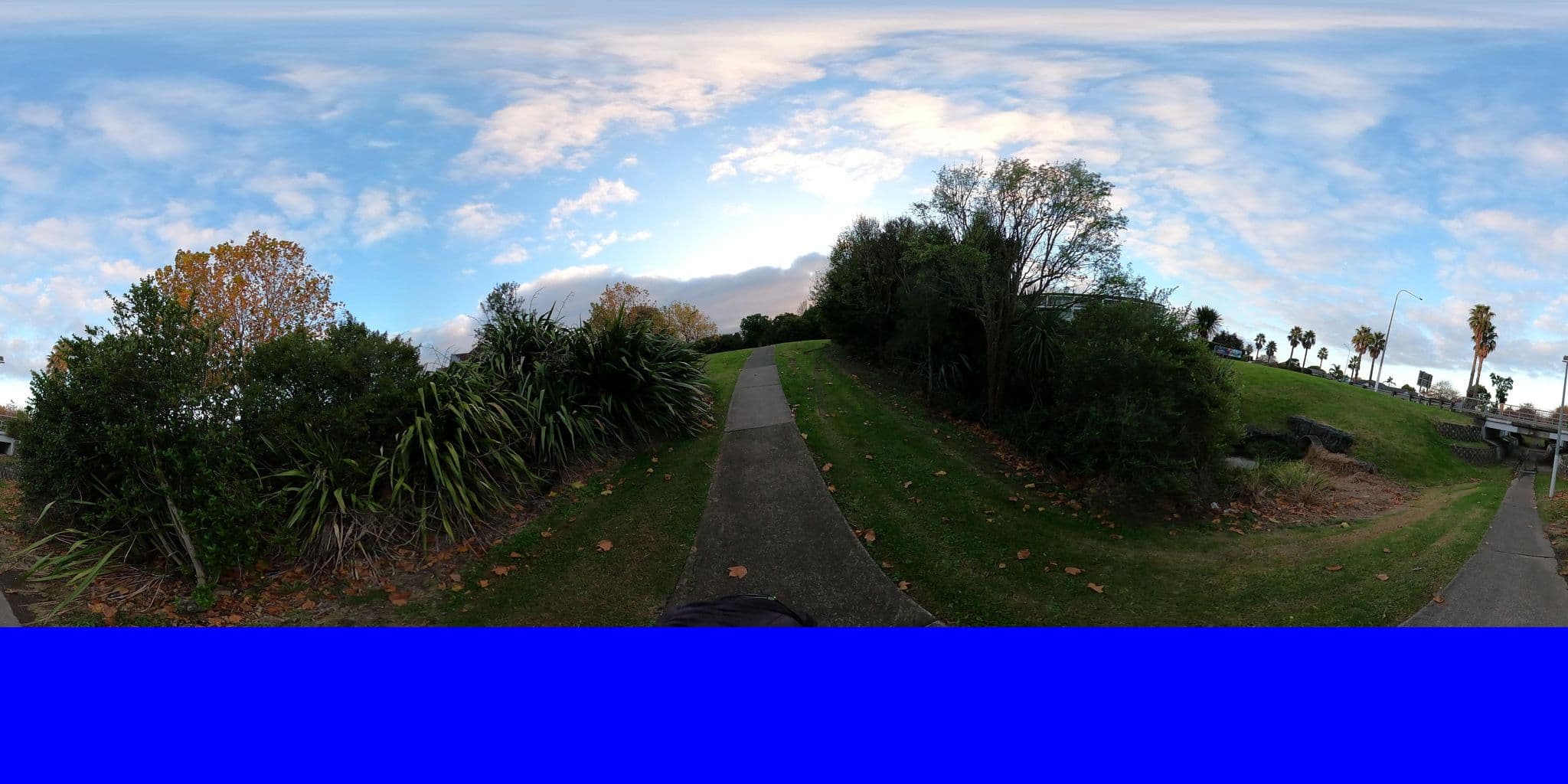 Street view near Botany Palms Motel, Otara — © ralley (CC BY-SA · Mapillary)
