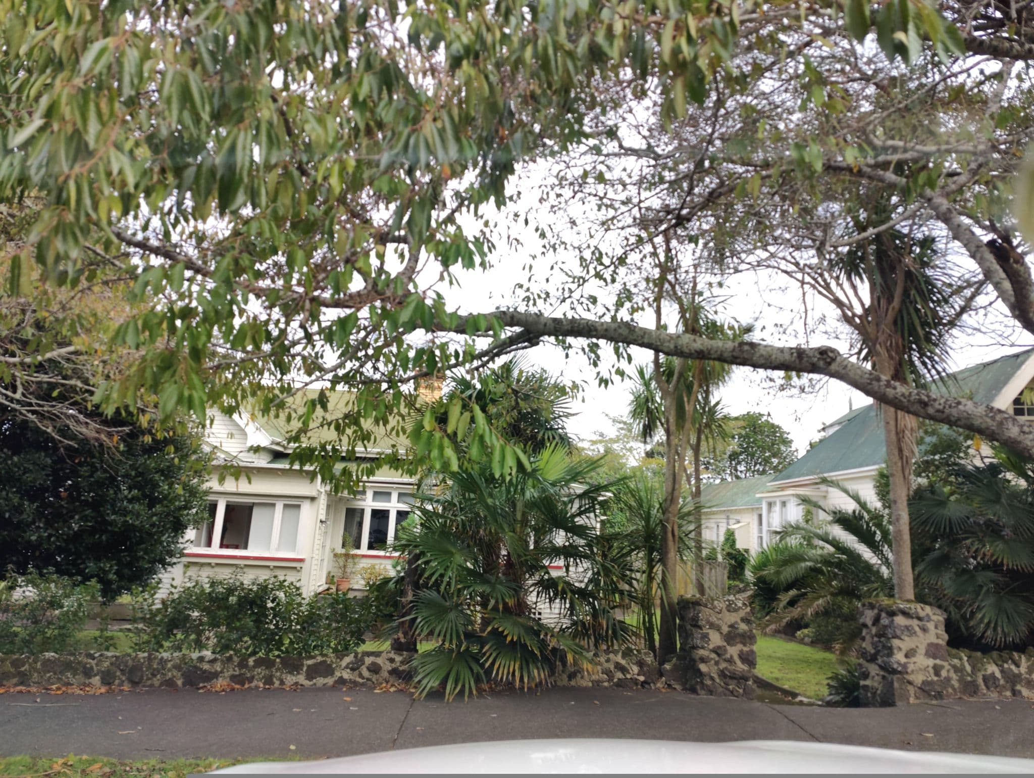 Street view near Oaklands Lodge, Mount Eden — © elphix (CC BY-SA · Mapillary)