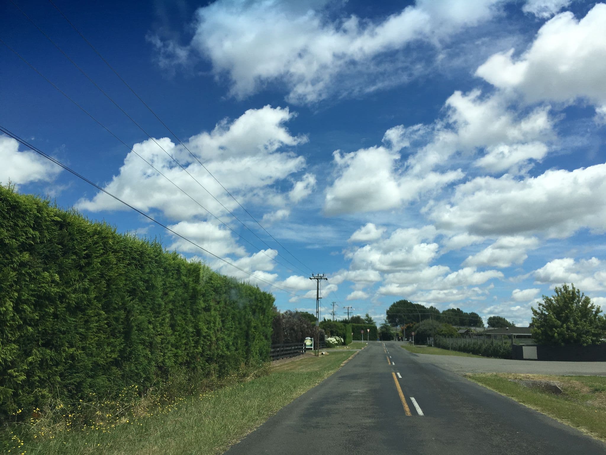 Street view near Crasborn Havelock, Havelock North — © nigelramsay (CC BY-SA · Mapillary)