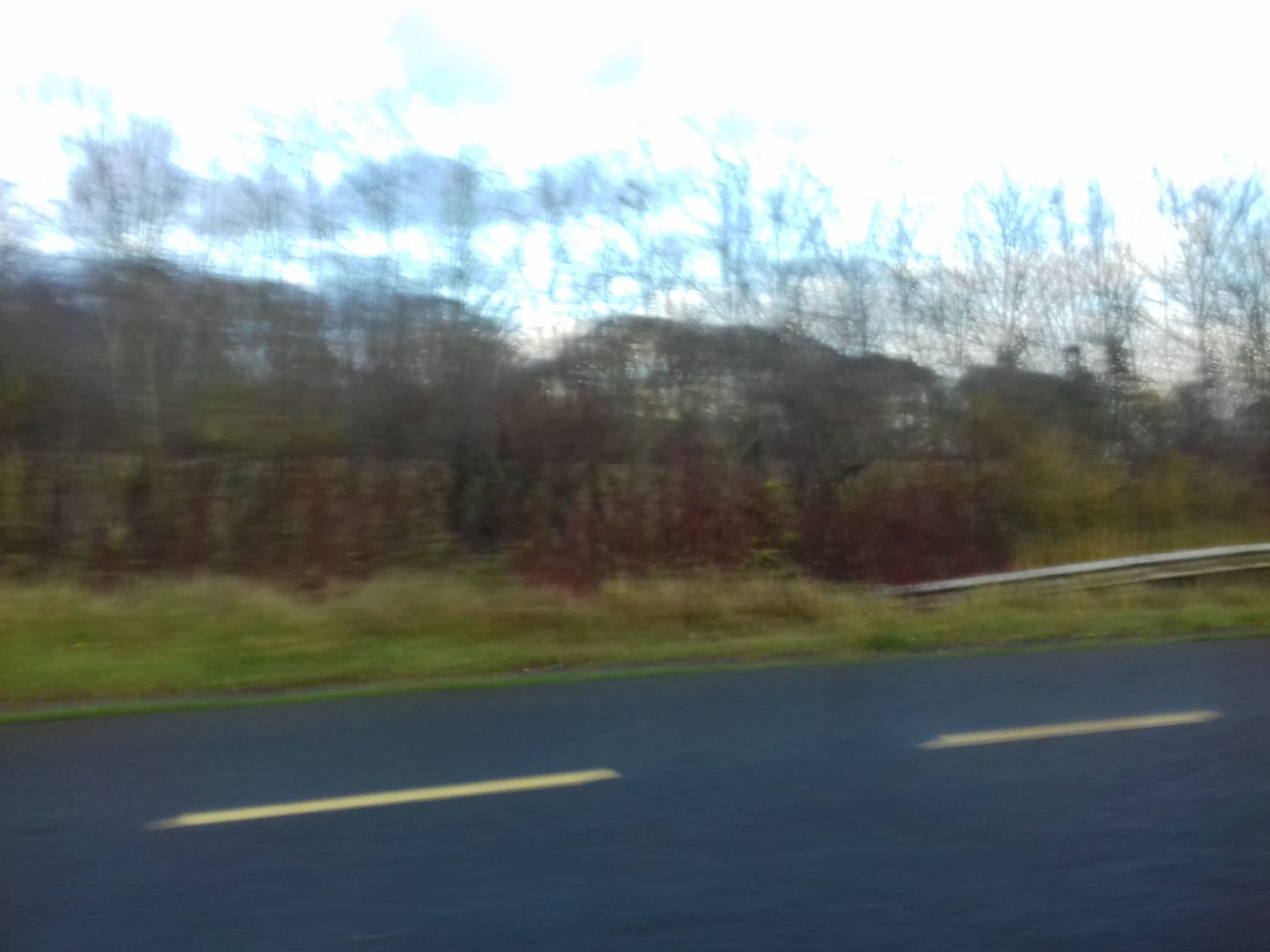 Street view near Woodview B&B, Ardee — © debigc (CC BY-SA · Mapillary)