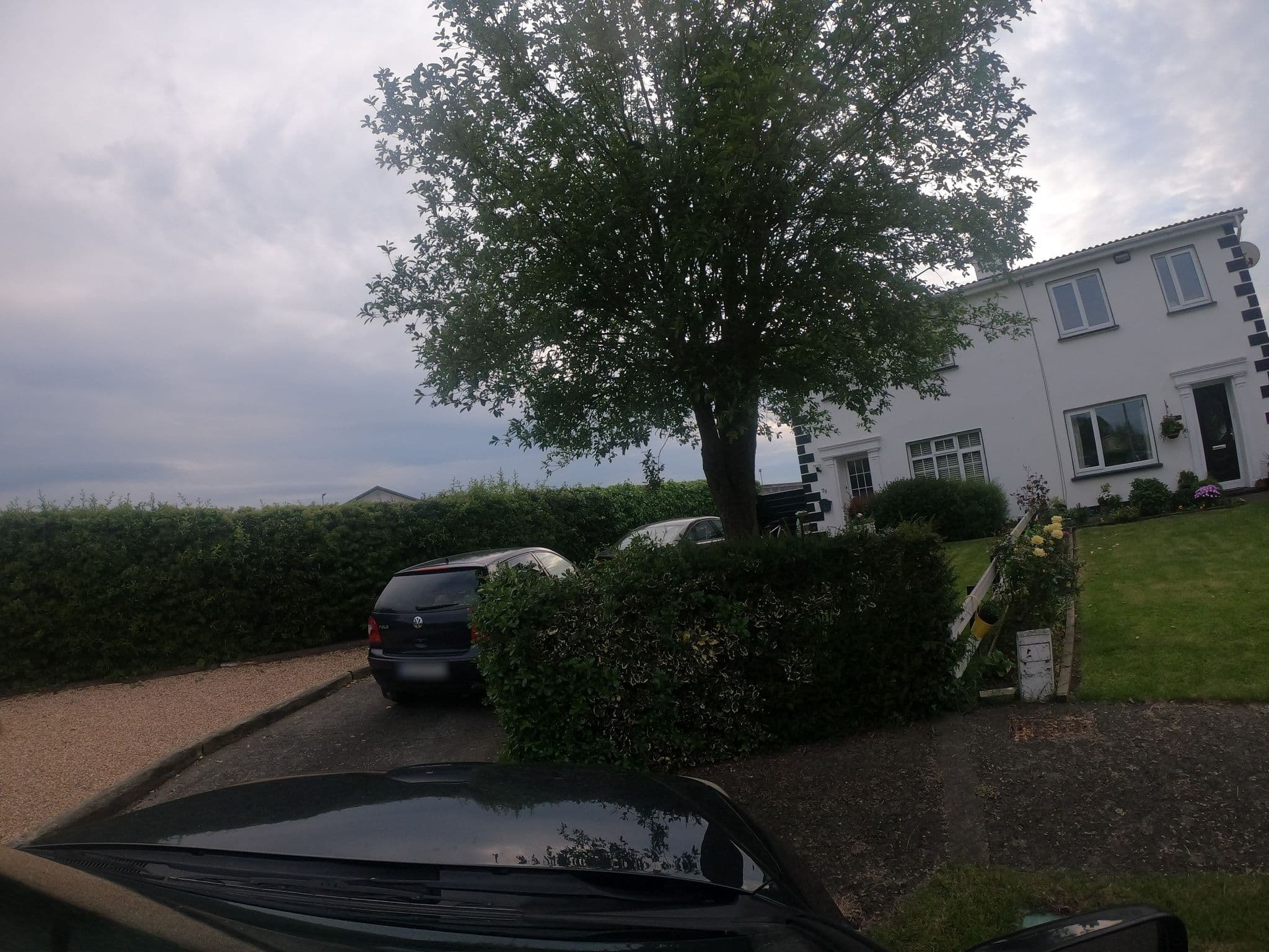 Street view near Little Pets Holiday Home Small Animal Boarding, Celbridge — © debigc (CC BY-SA · Mapillary)