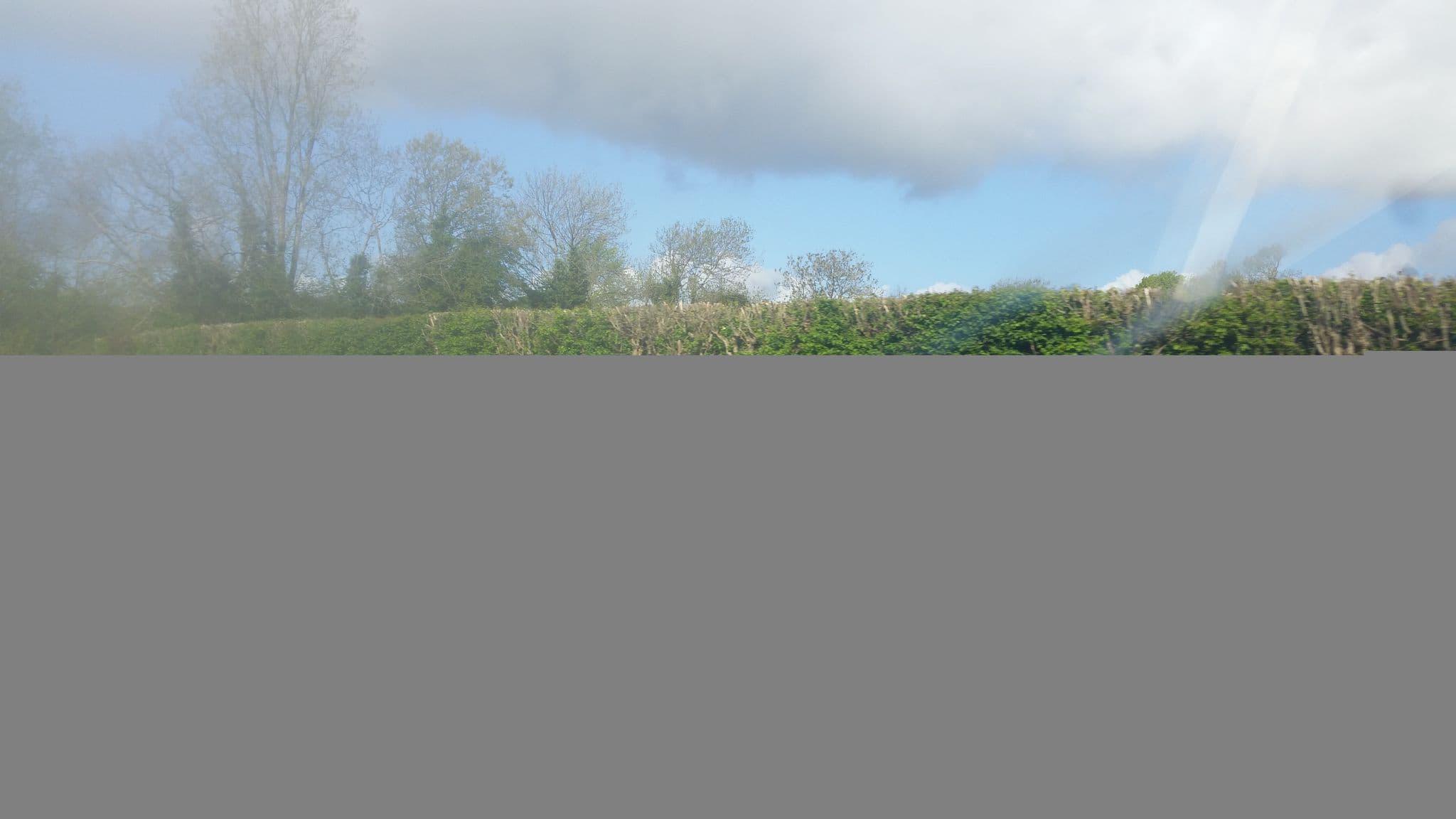 Street view near Kilbora B&B, Ferns — © debigc (CC BY-SA · Mapillary)