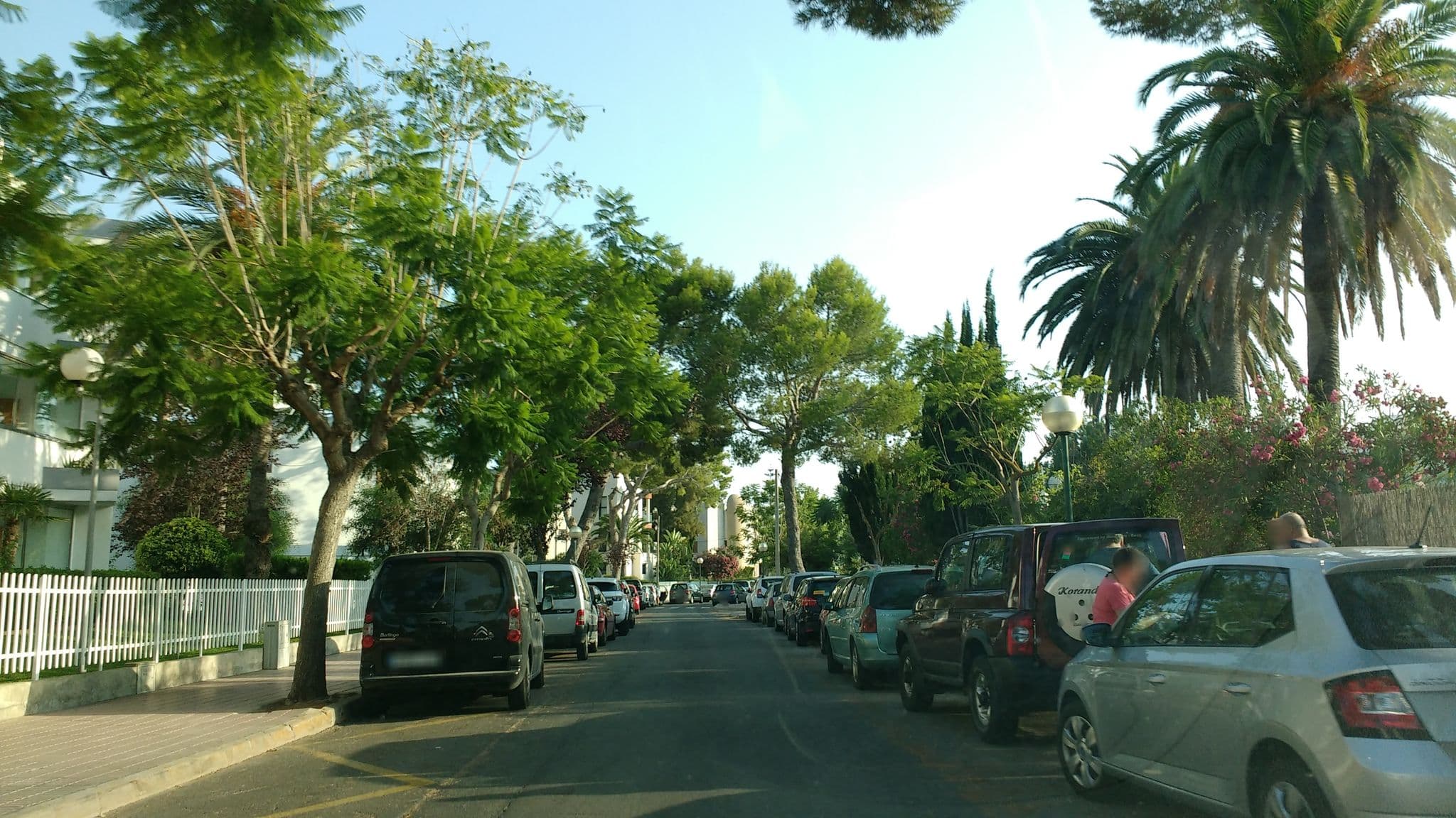 Street view near Sofia Alcudia Beach, Platja d'Alcúdia — © thetornado76 (CC BY-SA · Mapillary)