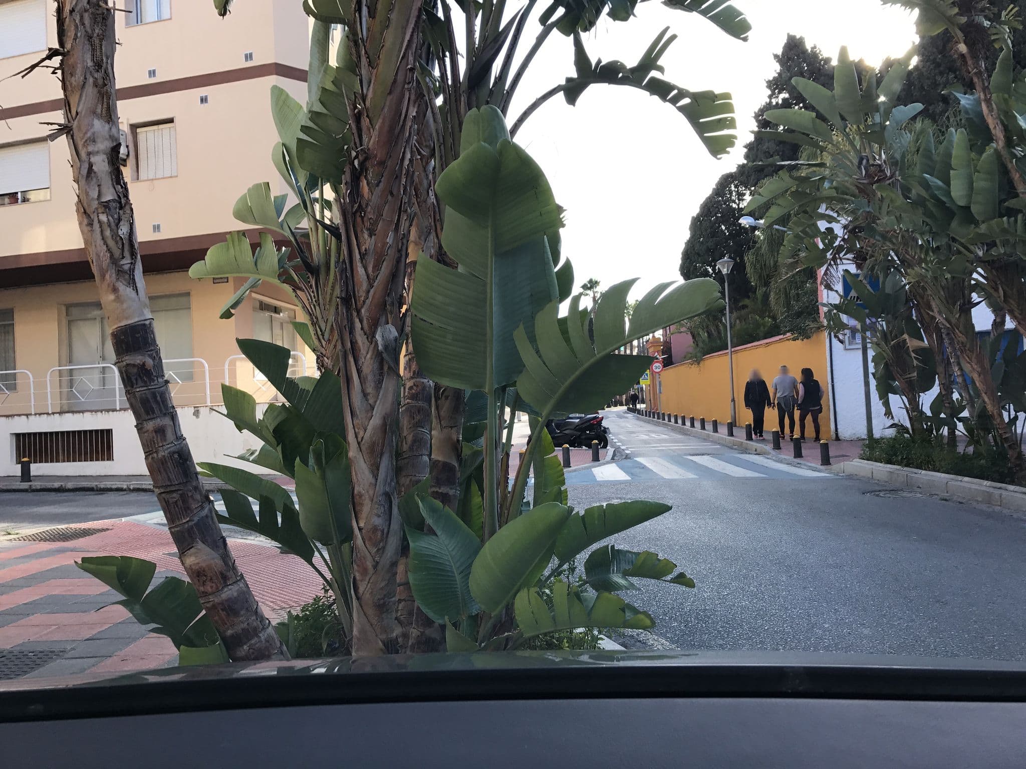 Street view near Hotel Goya, Almuñécar — © rainerup (CC BY-SA · Mapillary)