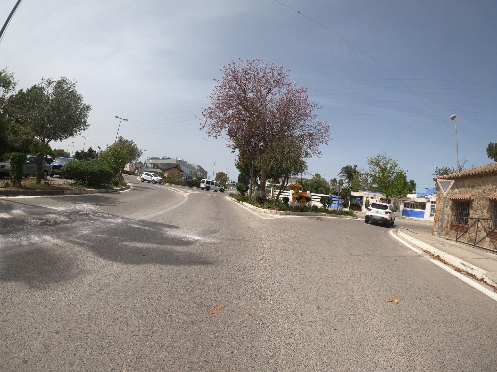 Street view near Hotel - Restaurante Cortijo Las Grullas, Benalup-Casas Viejas — © Langfahrer (CC BY-SA · Mapillary)