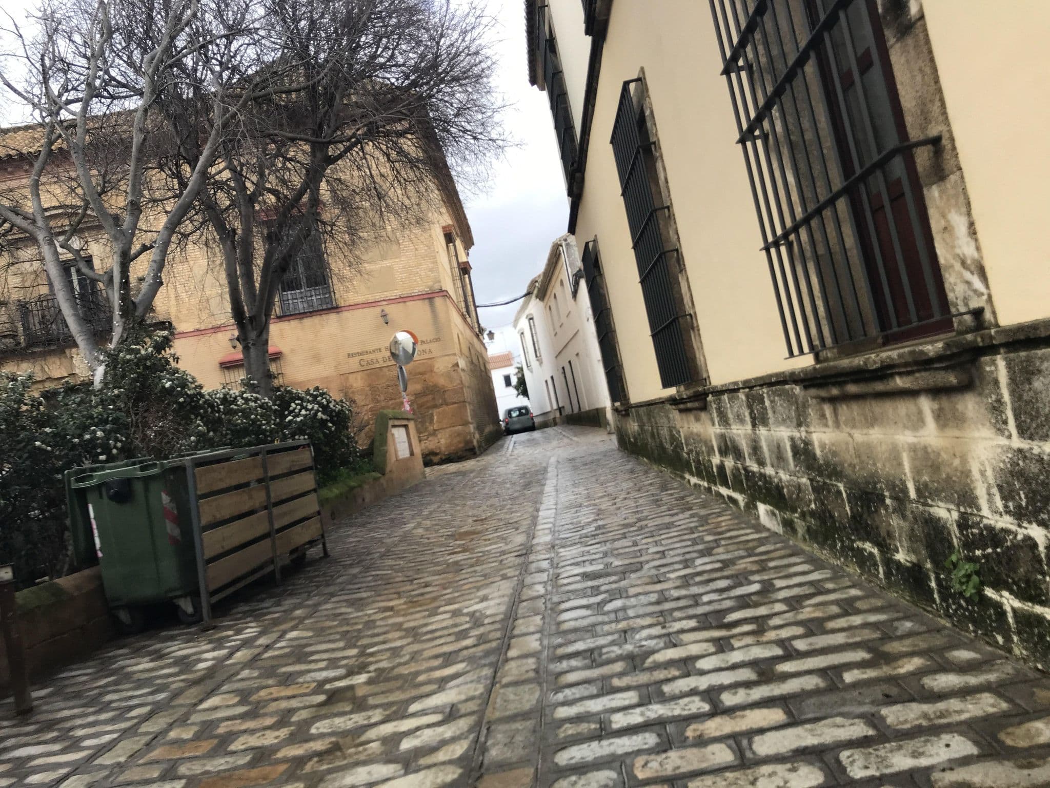 Street view near Casa Palacio de Carmona, Carmona — © miguel_andrade (CC BY-SA · Mapillary)
