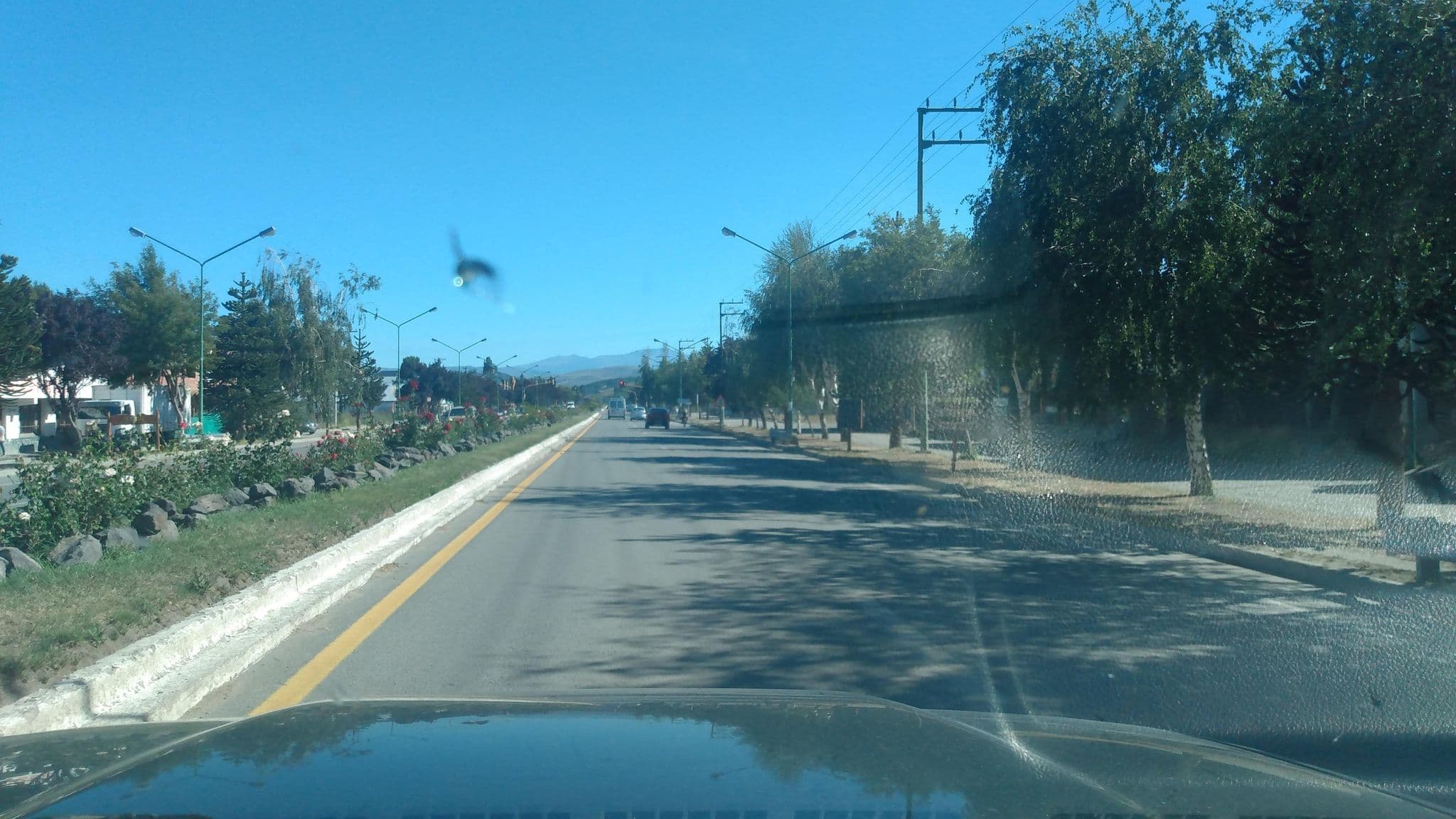 Street view near Residencial Neuquén, Junín de los Andes — © andresduhour (CC BY-SA · Mapillary)