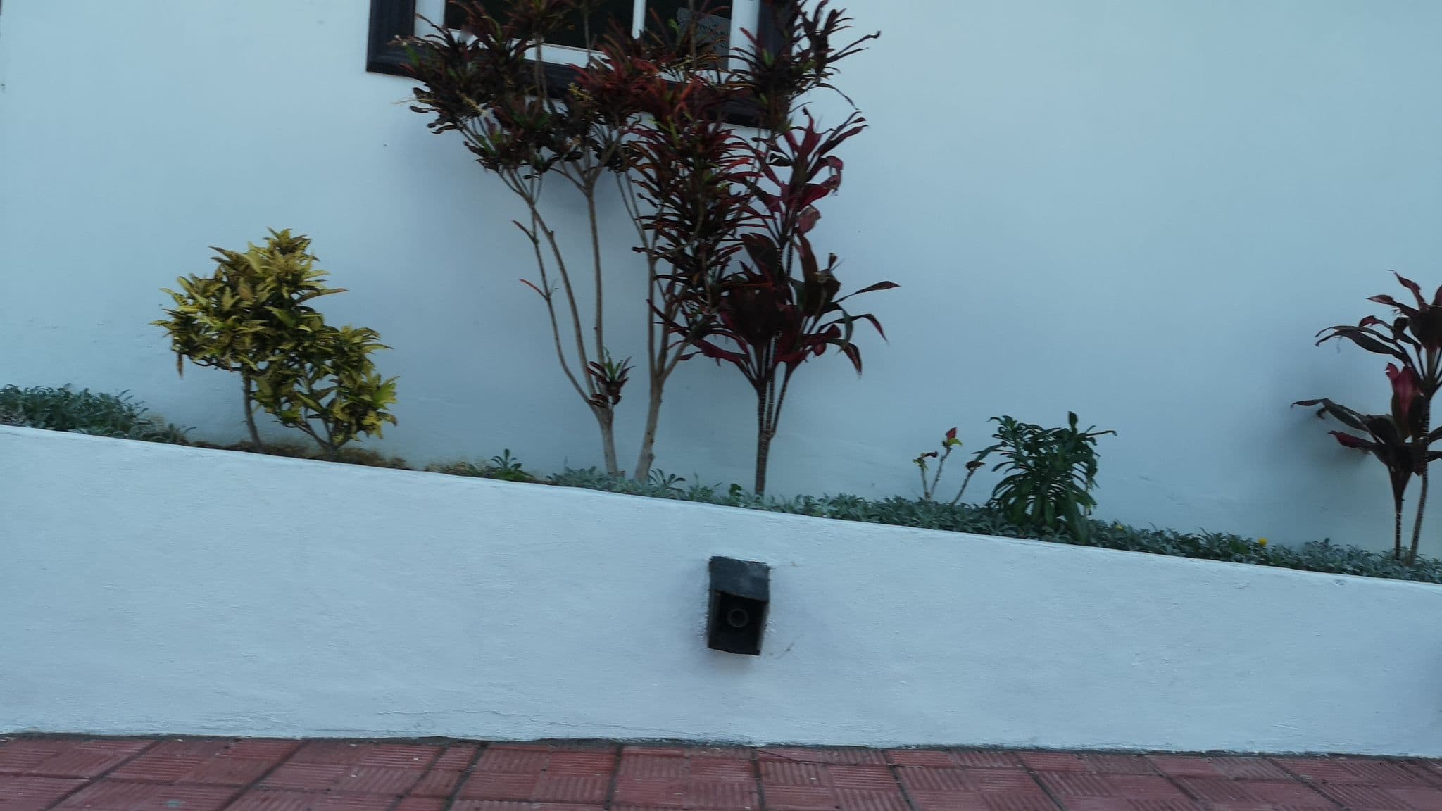 Street view near Suites Los Telares - Adults Recommended, Hermigua — © esario (CC BY-SA · Mapillary)