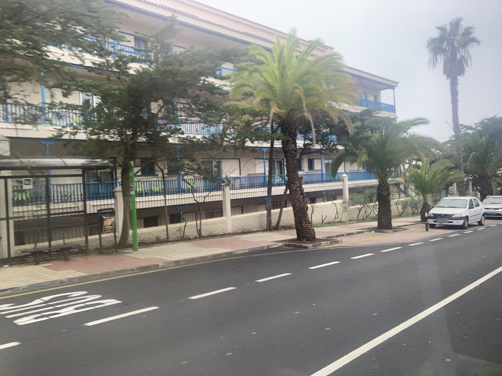 Street view near O7 Tenerife, Puerto de la Cruz — © tasmaniadevil (CC BY-SA · Mapillary)