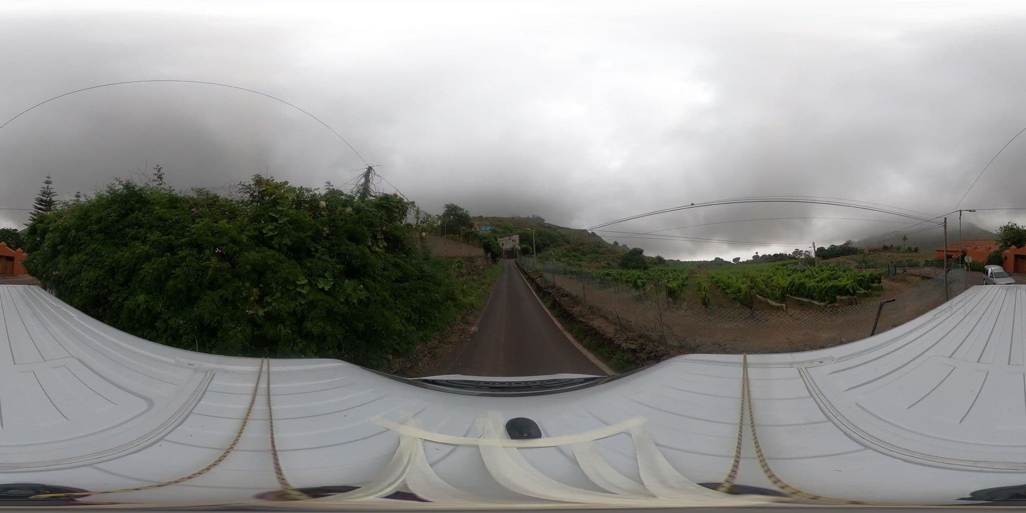 Street view near Haciendas del Valle - Las Kentias, Tegueste — © MttoviarioAPIlalaguna (CC BY-SA · Mapillary)