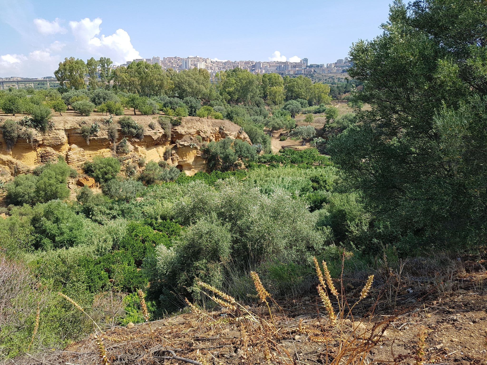 Street view near Bed and Breakfast dei Templi, Agrigento — © bernard59118 (CC BY-SA · Mapillary)