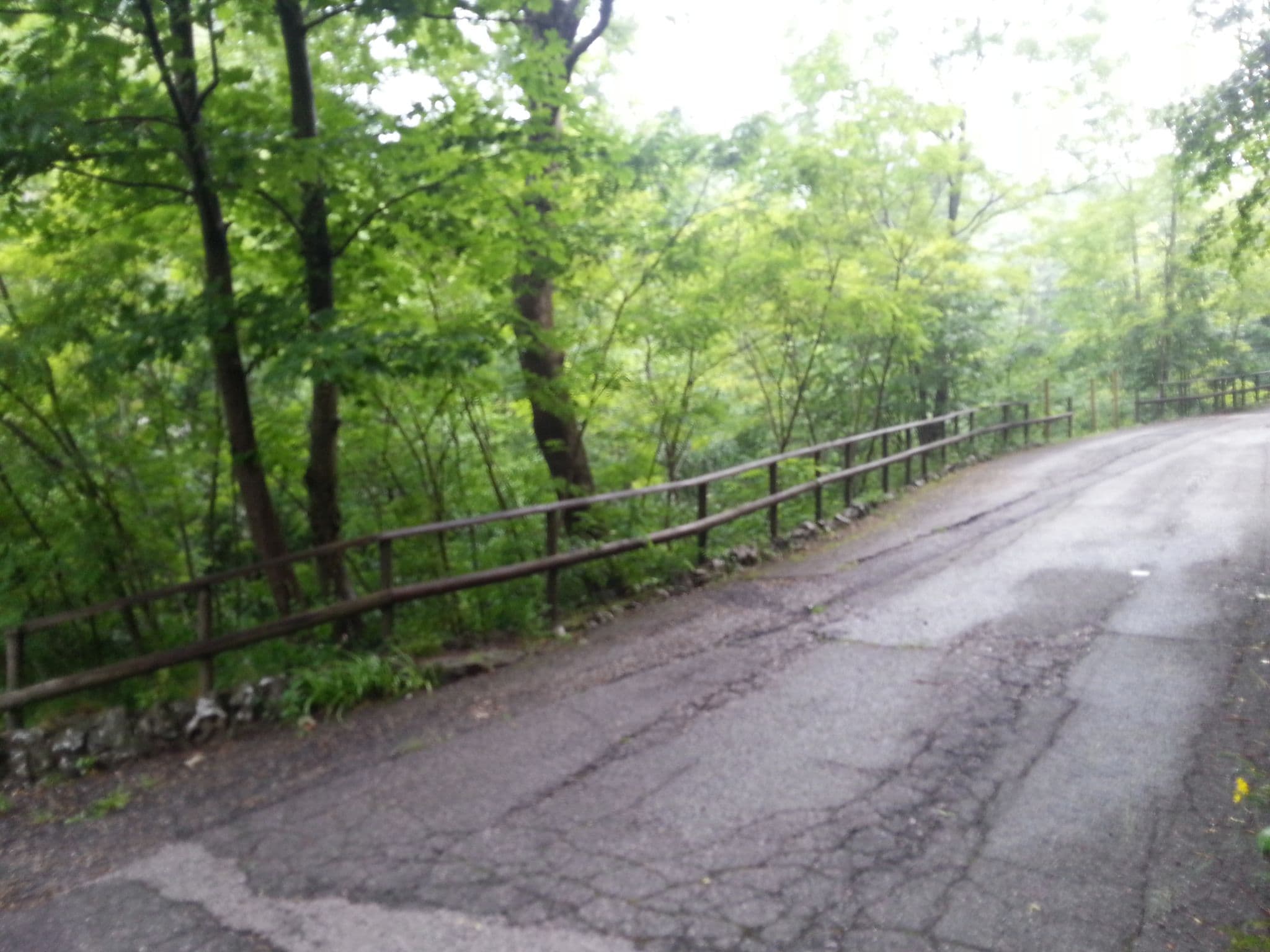 Street view near L’Helleboro, Viggiù — © kaitu (CC BY-SA · Mapillary)