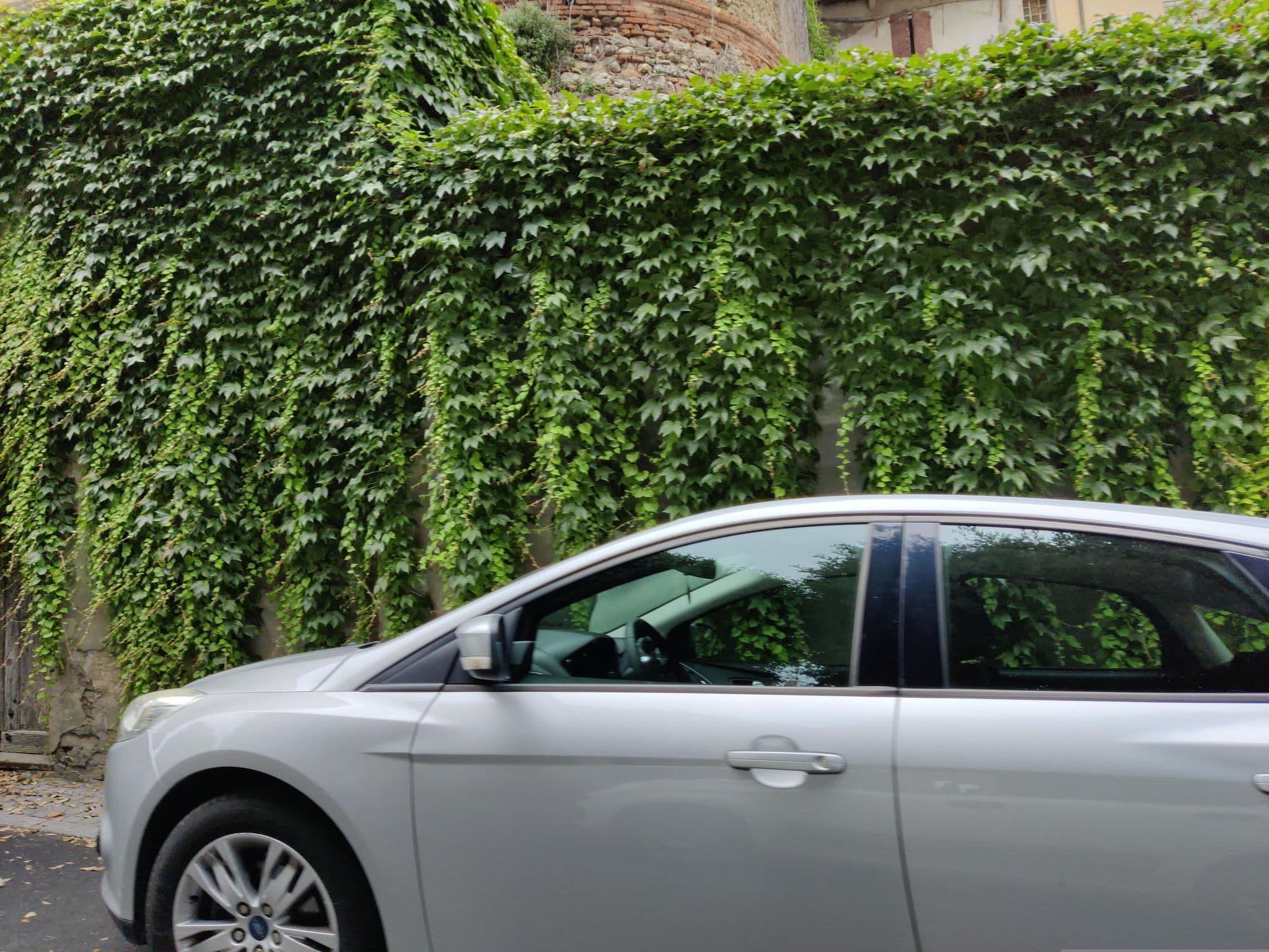 Street view near B&B del Borgo Bertinoro, Bertinoro — © evvemoscia (CC BY-SA · Mapillary)