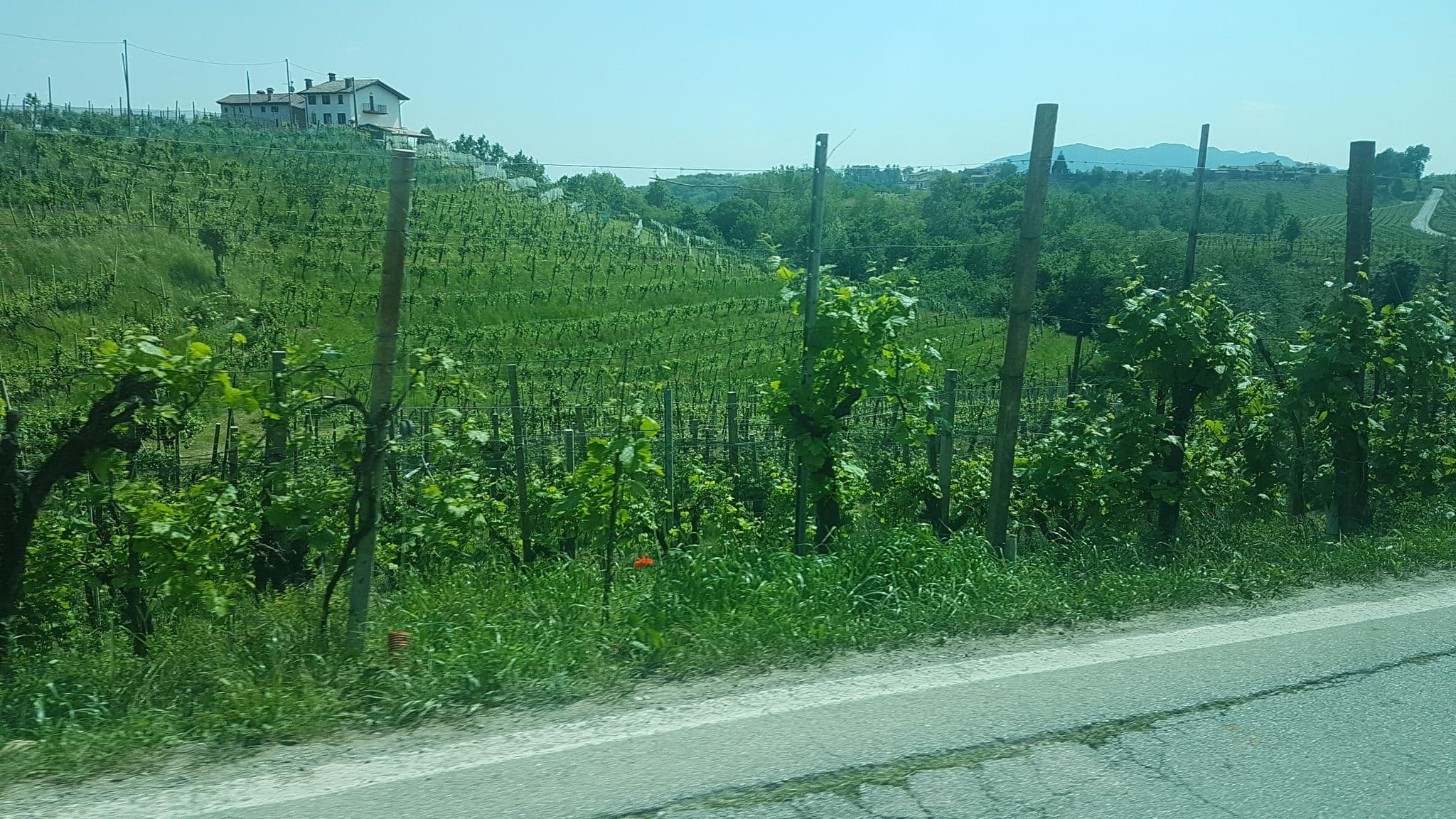 Street view near B&B Alla Pergola, Bigolino — © bcostacurta (CC BY-SA · Mapillary)
