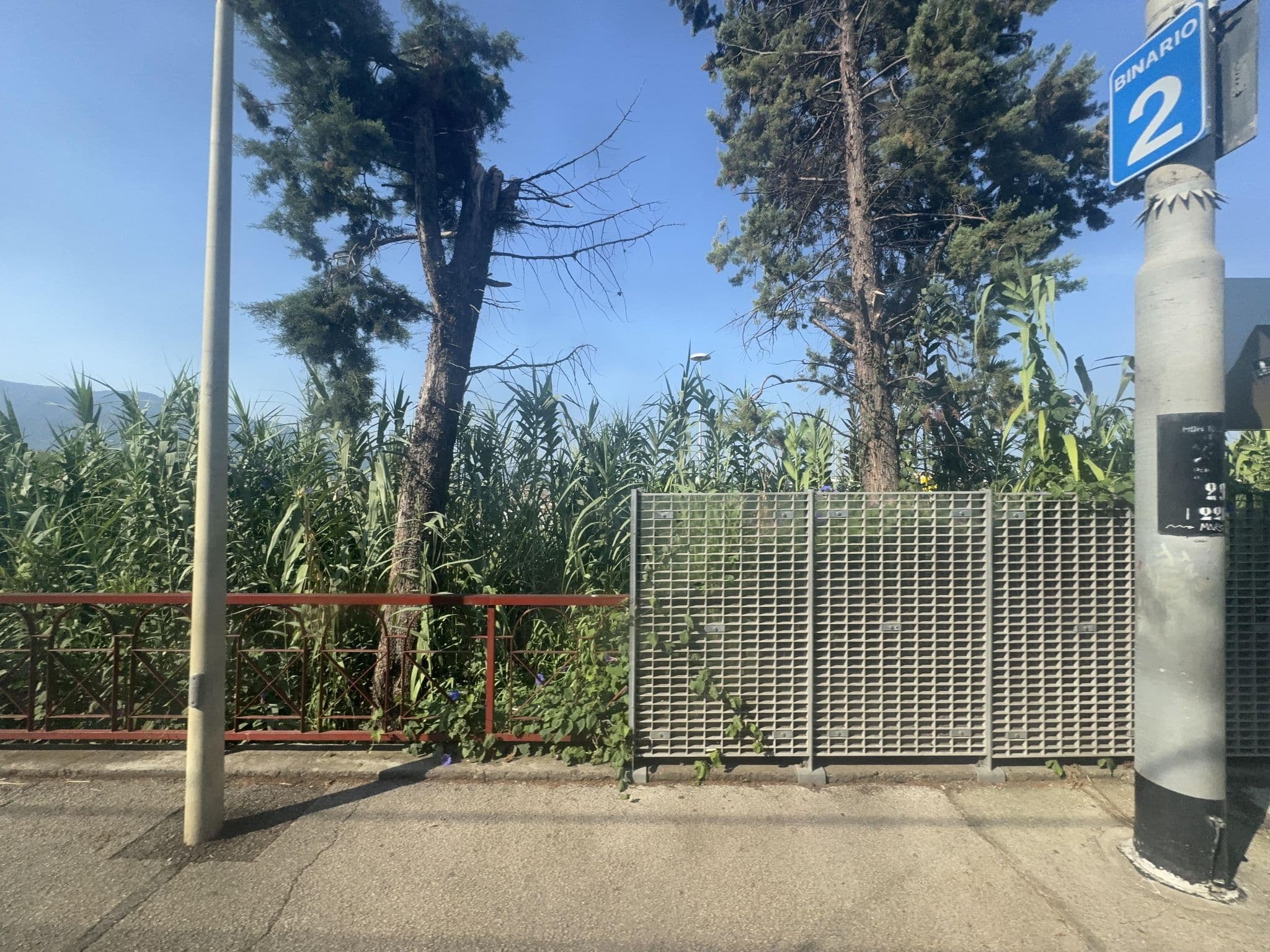 Street view near Hotel Zeus, Pompei — © mapconcierge (CC BY-SA · Mapillary)
